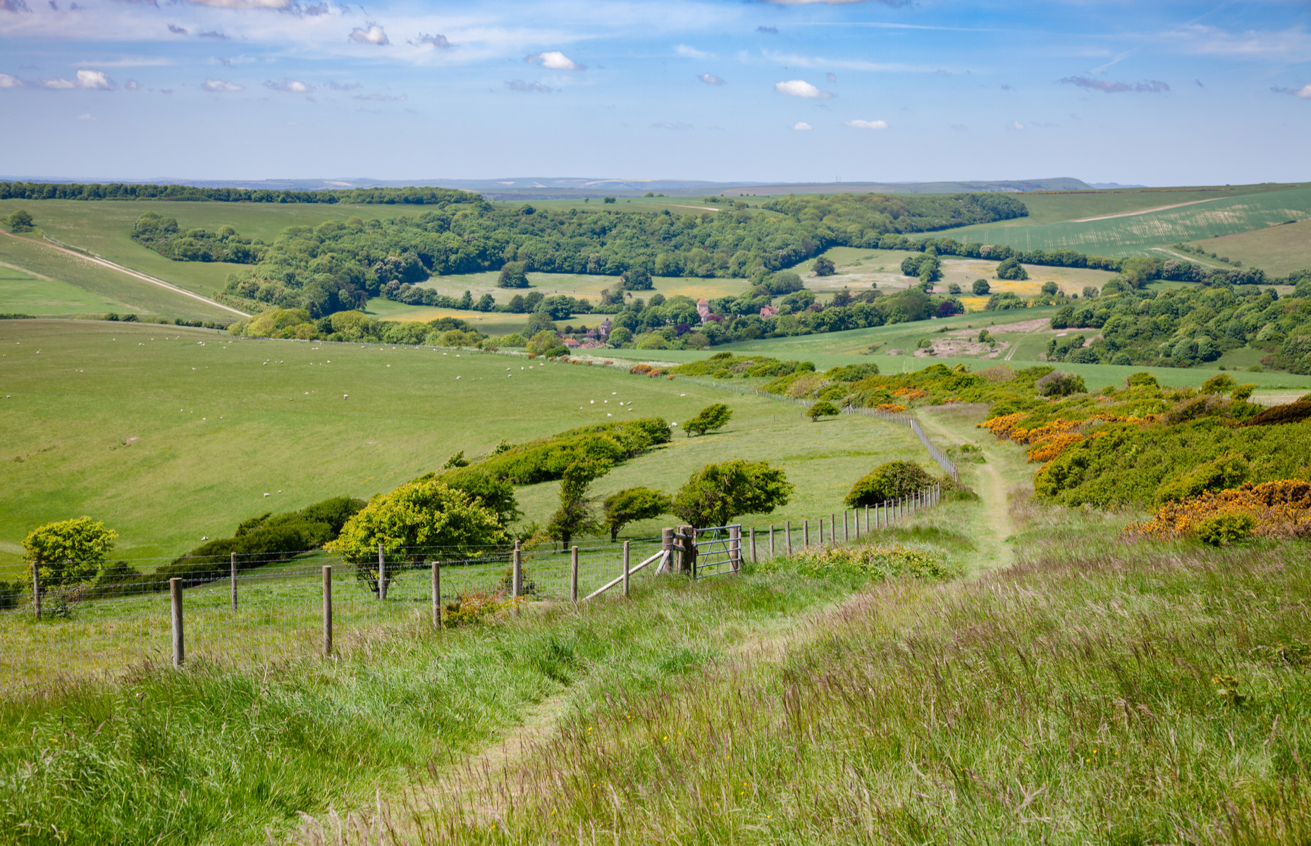 South Downs Way