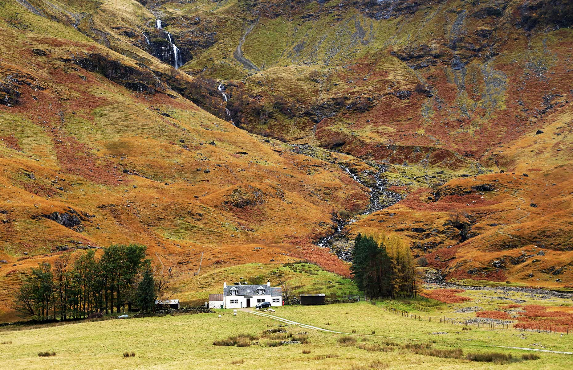 Orkney Islands, Scotland during autumn (Image: mikadun/Shutterstock)