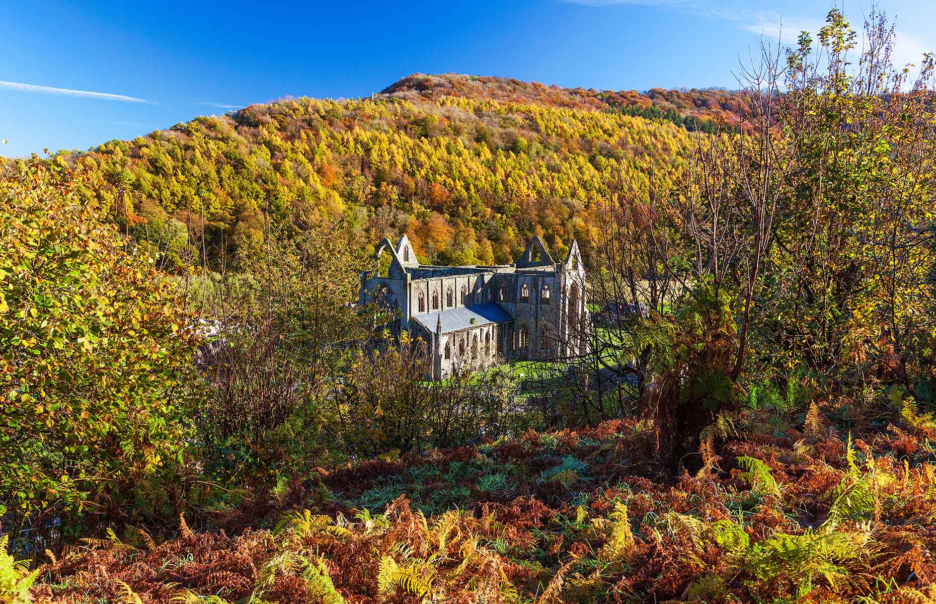 Tintern Abbey, Wye Valley, Wales (Image: Billy Stock/Shutterstock)