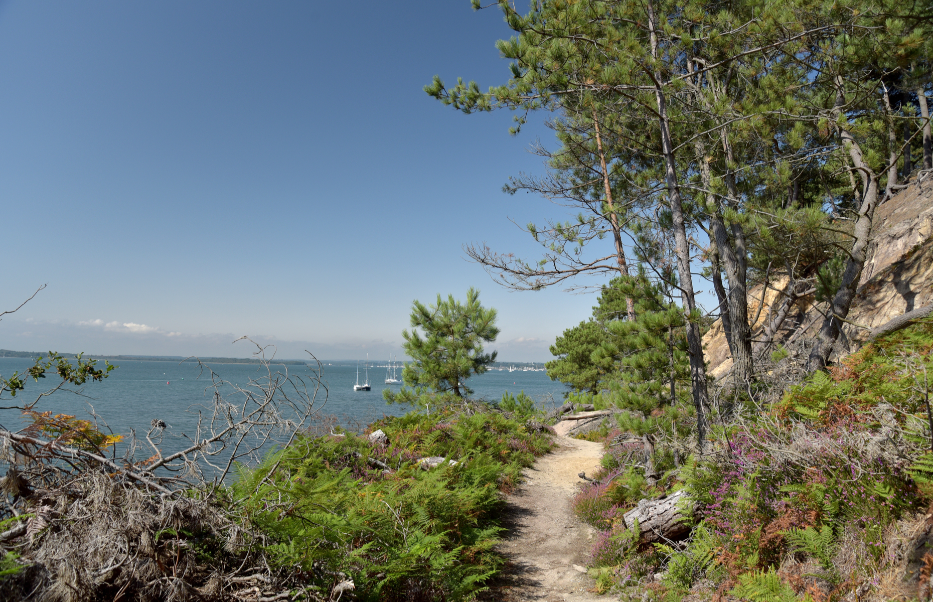 Brownsea Island