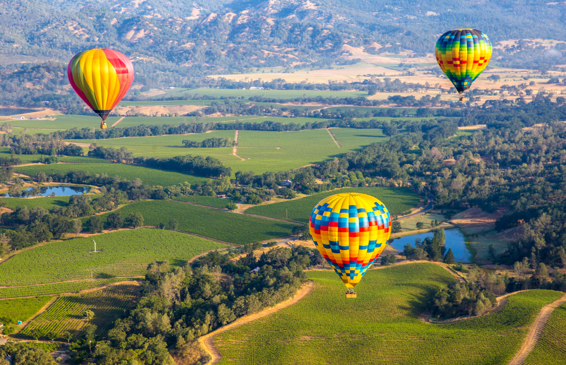 Napa Valley hot air ballons