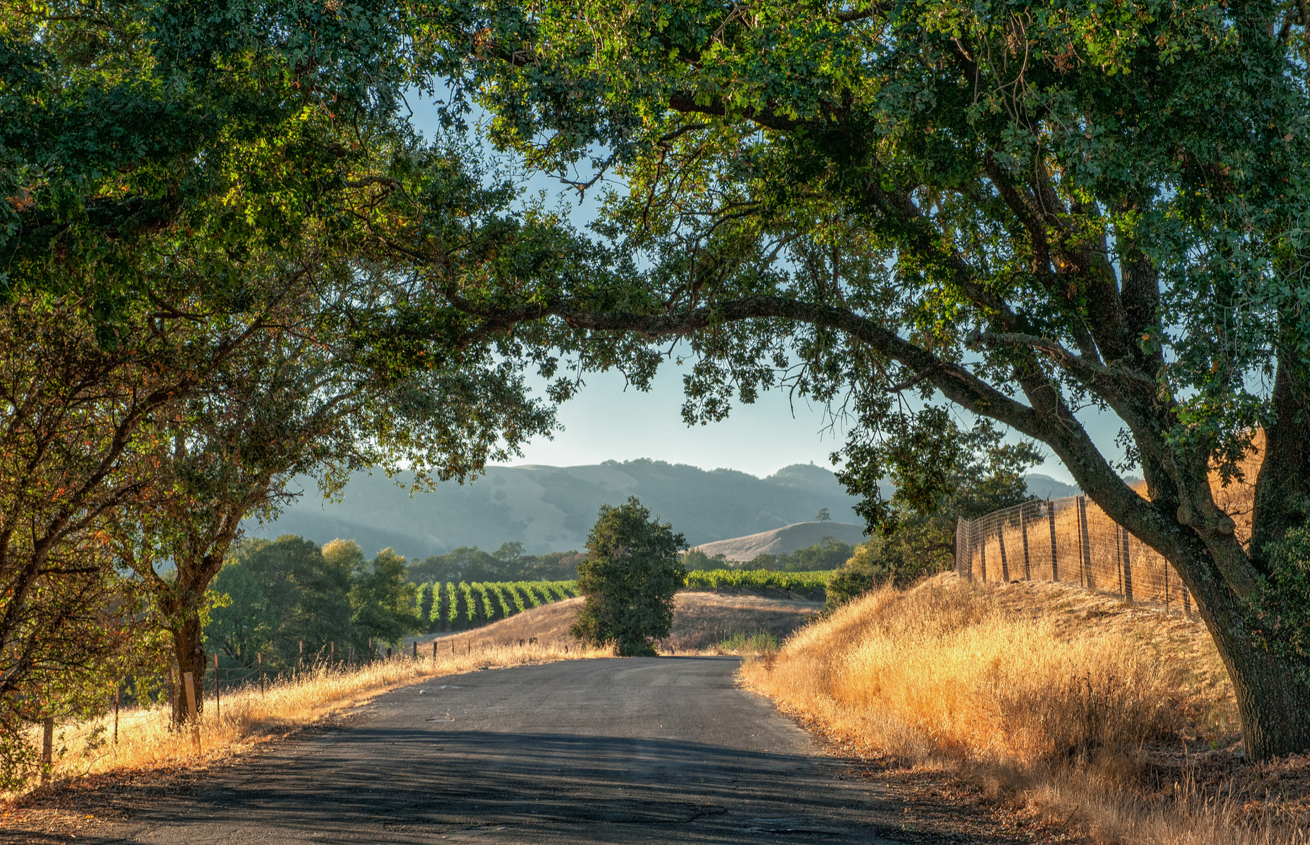 California wine road trip