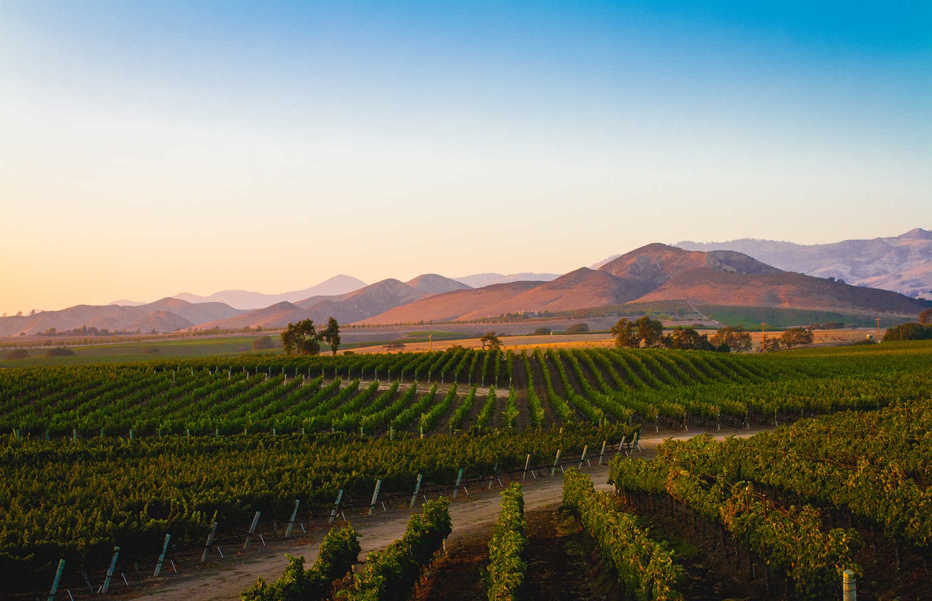 Santa Ynez Valley (Image: Carolin Sunshine/Shutterstock)