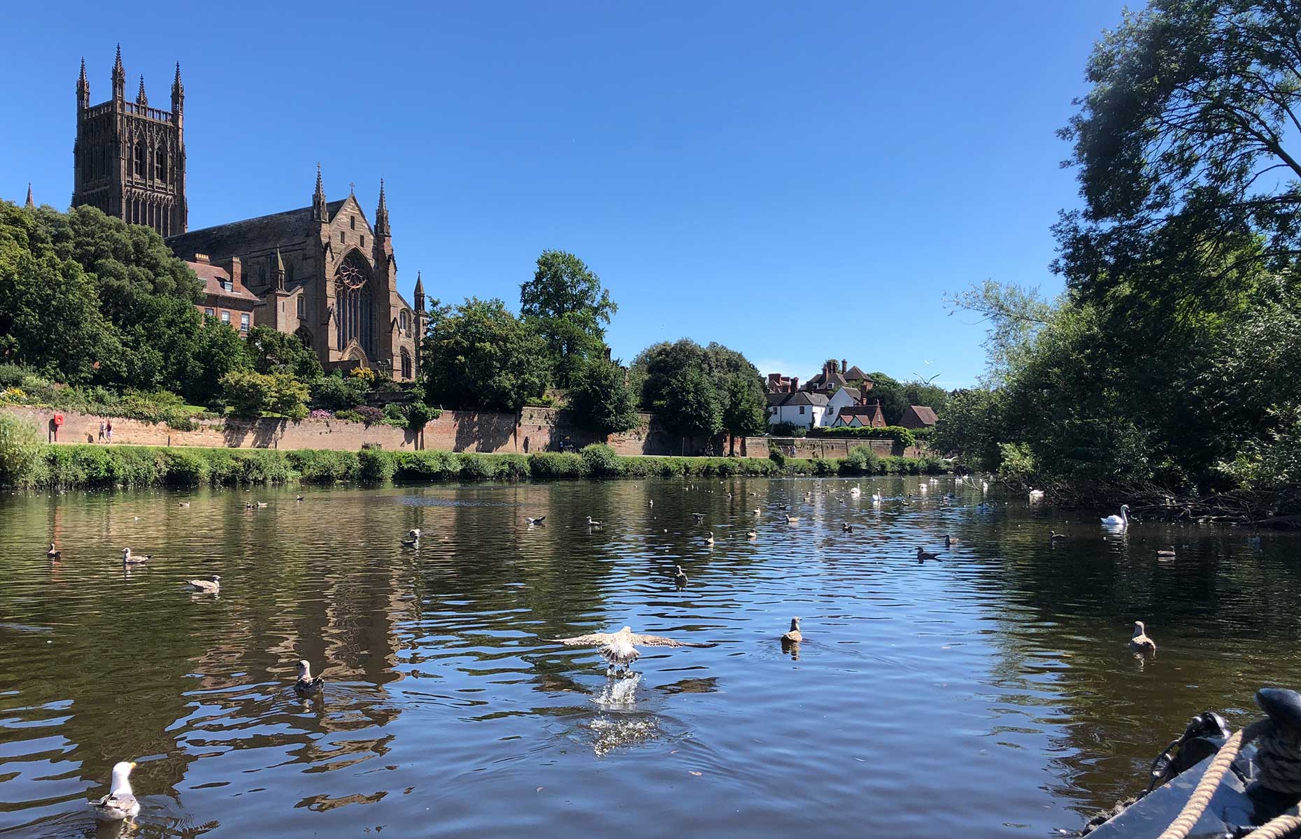 Worcester Cathedral viewed from the canal (Image: Courtesy of Jo Kesel)