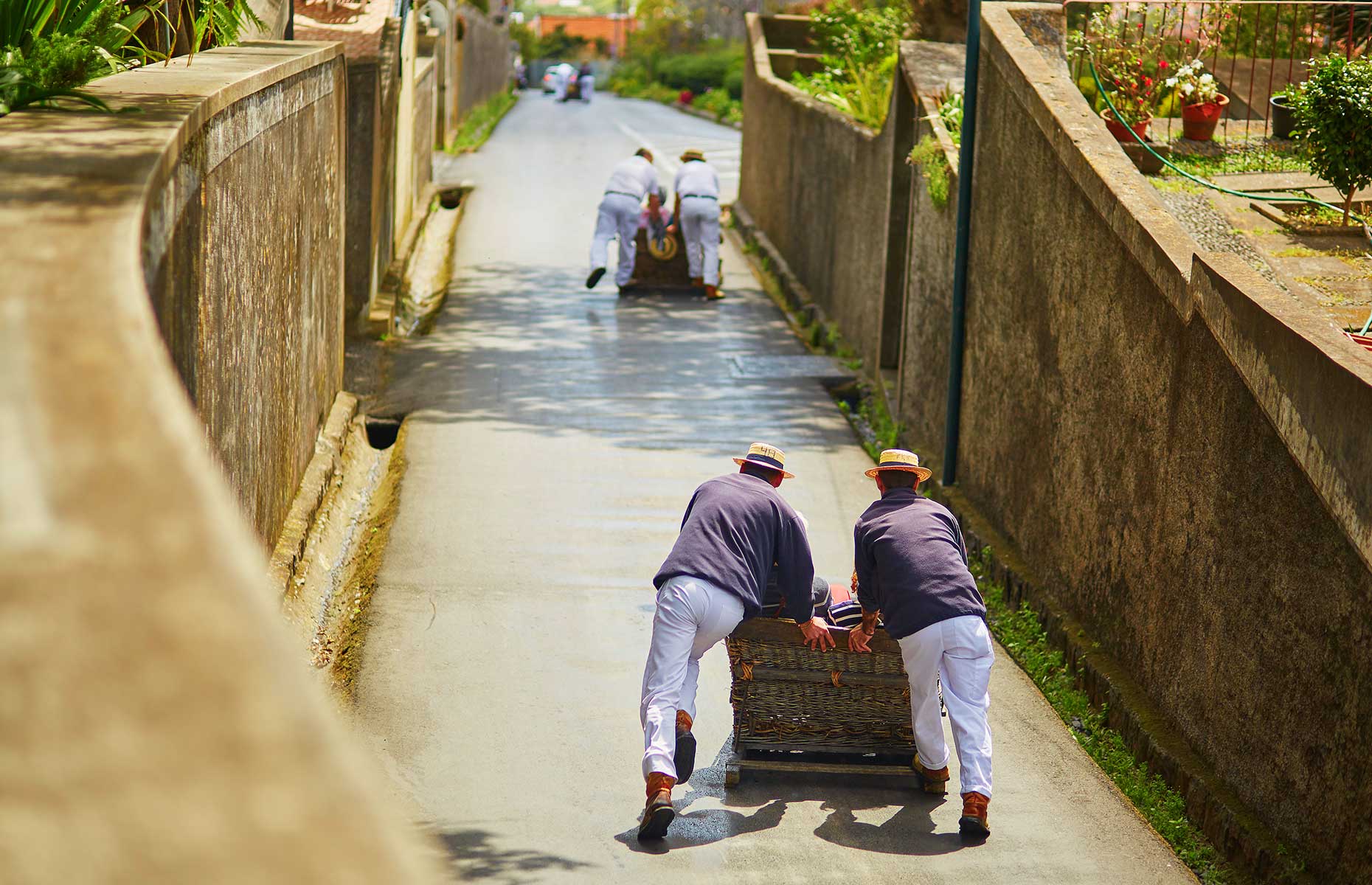 Tabogganing in Funchal (Image: Ekaterina Pokrovsky/Shutterstock)