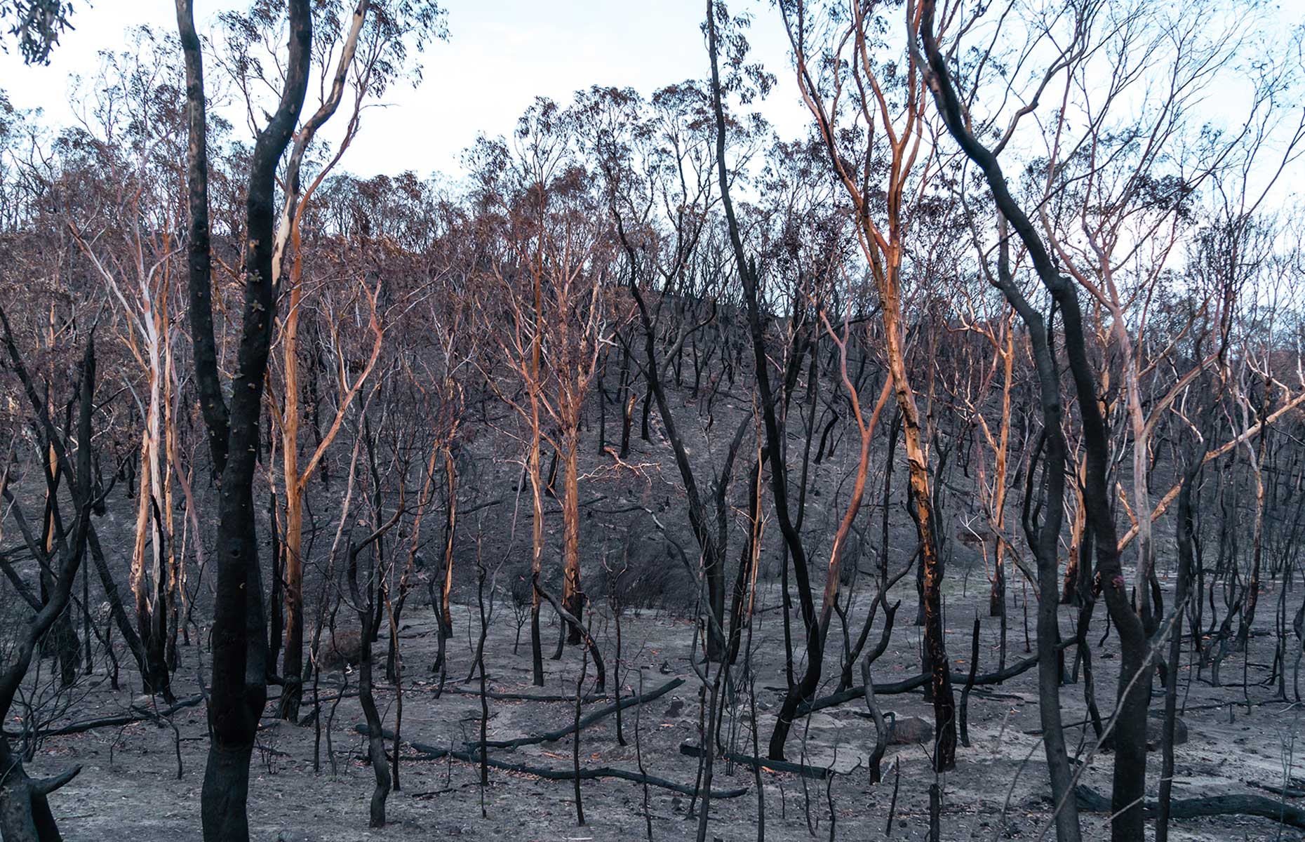 Namadgi National Park (Images: Jonathan Doyle Media)