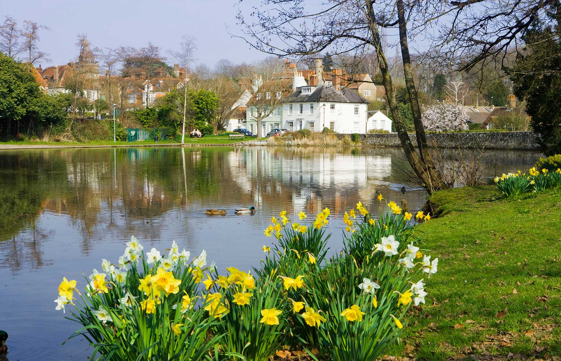 Midhurst, West Sussex (Image: Derek Croucher/Alamy Stock Photo)