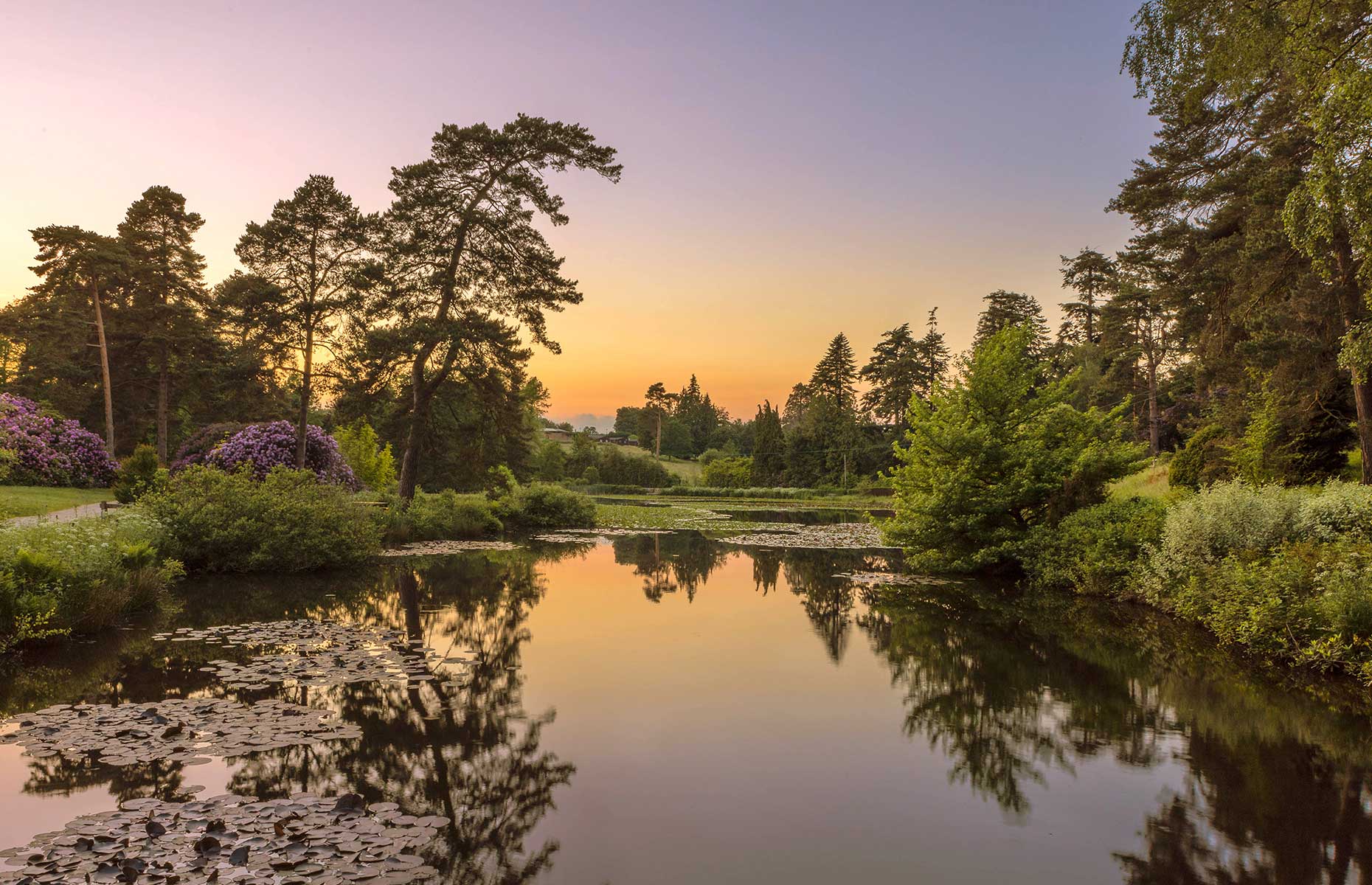 Bedgebury National Pinetum and Forest (Image: Fraser Allen/Shutterstock)