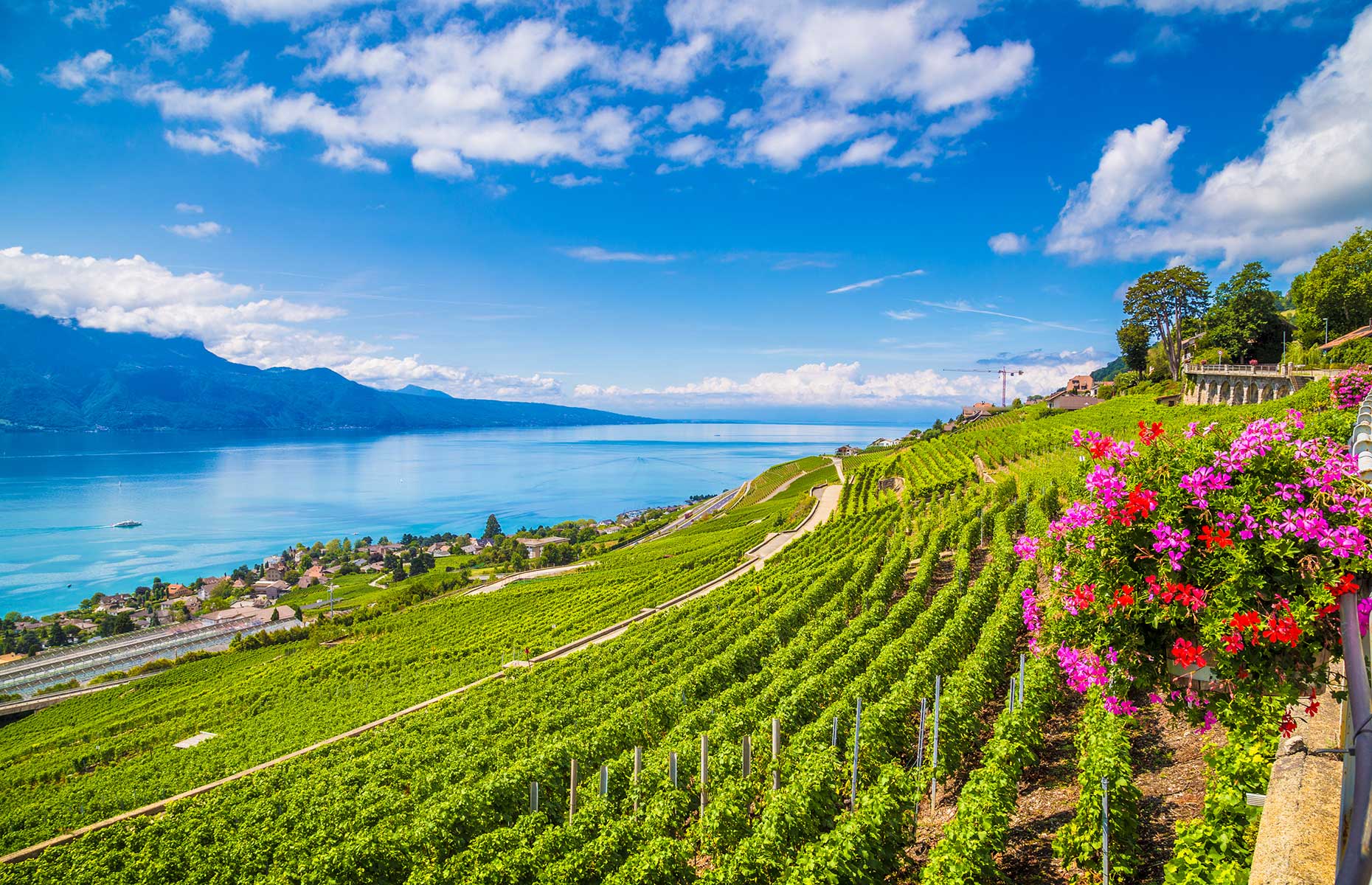 La Vaux region, just above Lausanne, is where you'll find the best wines