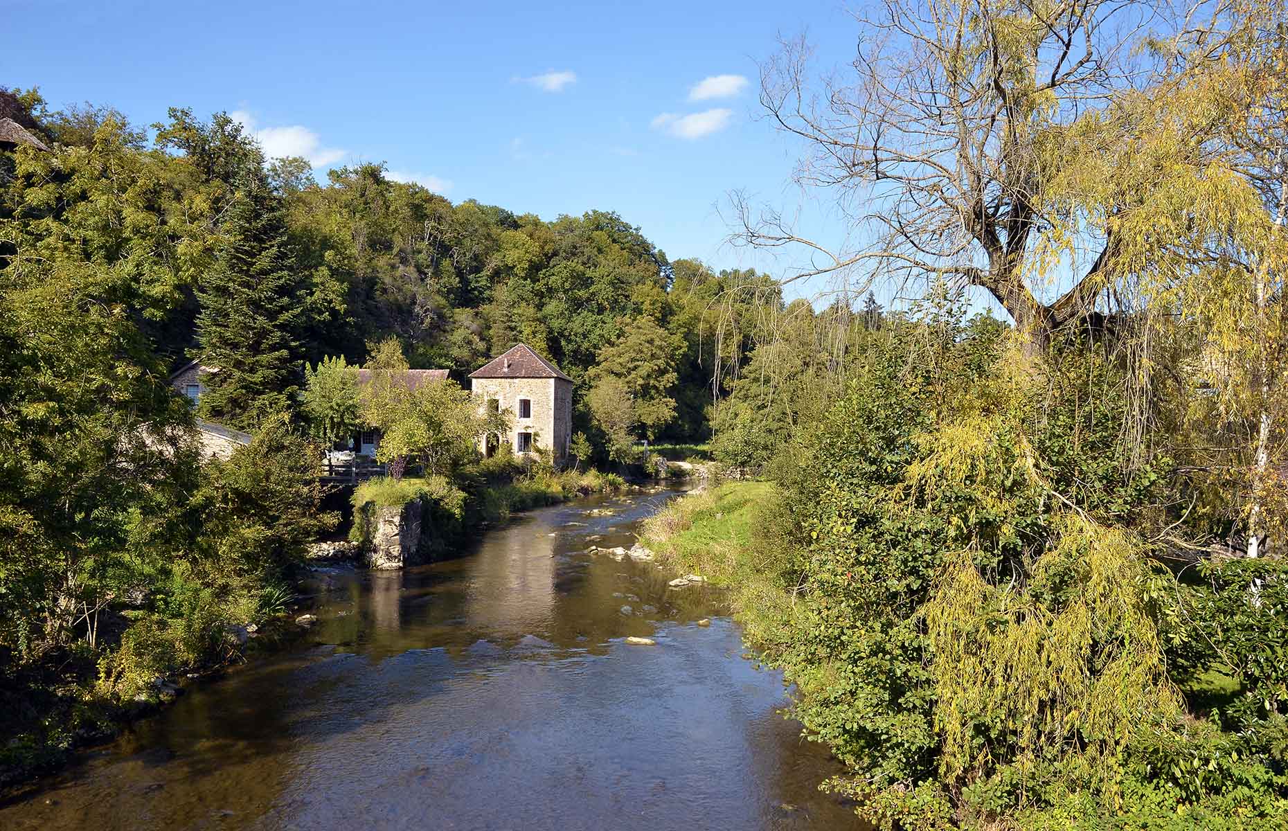 Orne forest, France (Image: Christian Musat/Shutterstock)