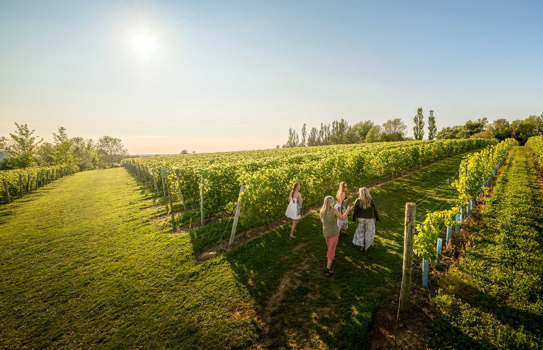 Winery in Nova Scotia (Image: Tourism Nova Scotia/Patrick Rojo)