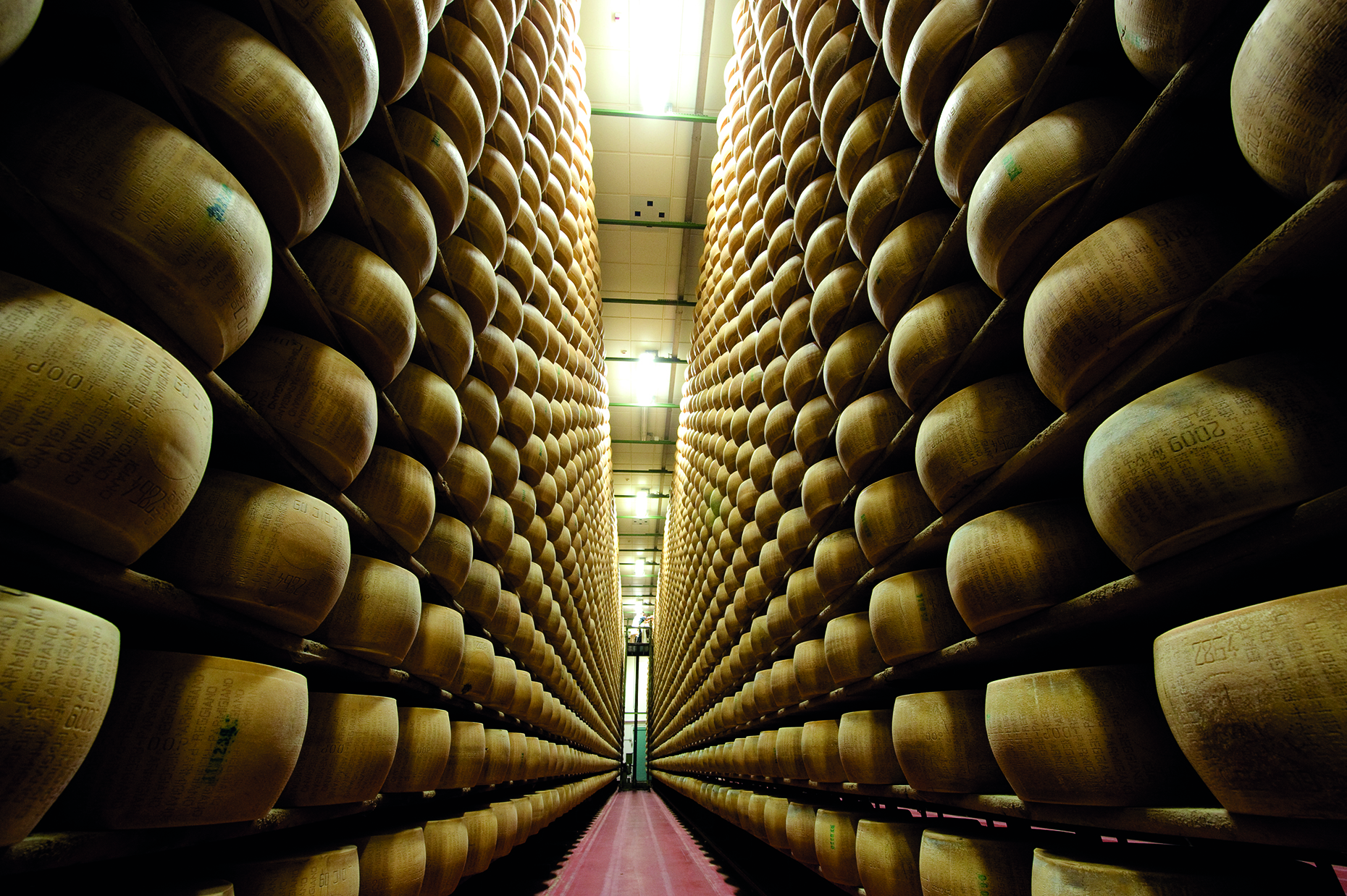 Parmigiano Reggiano aging room