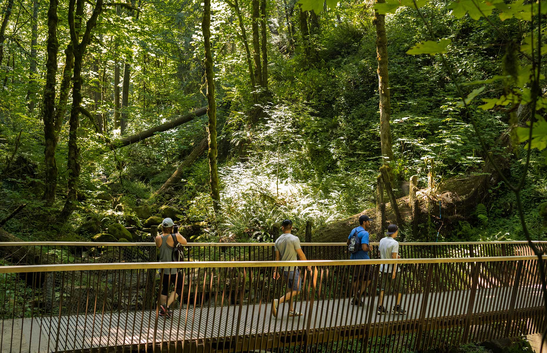 Forest Park hiking trails, Portland, Oregon (Image: Justin Katigbak/Travel Portland)