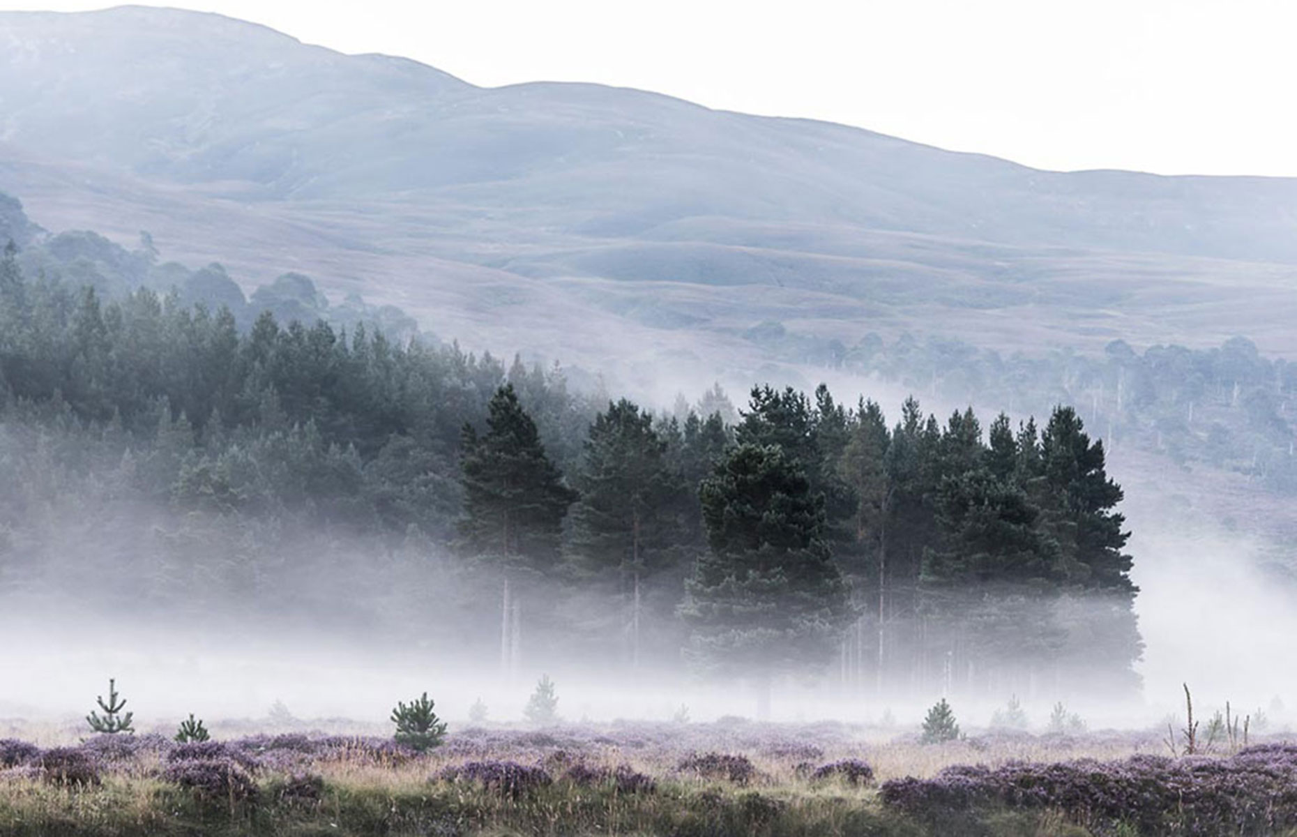 Glenfenshie, 