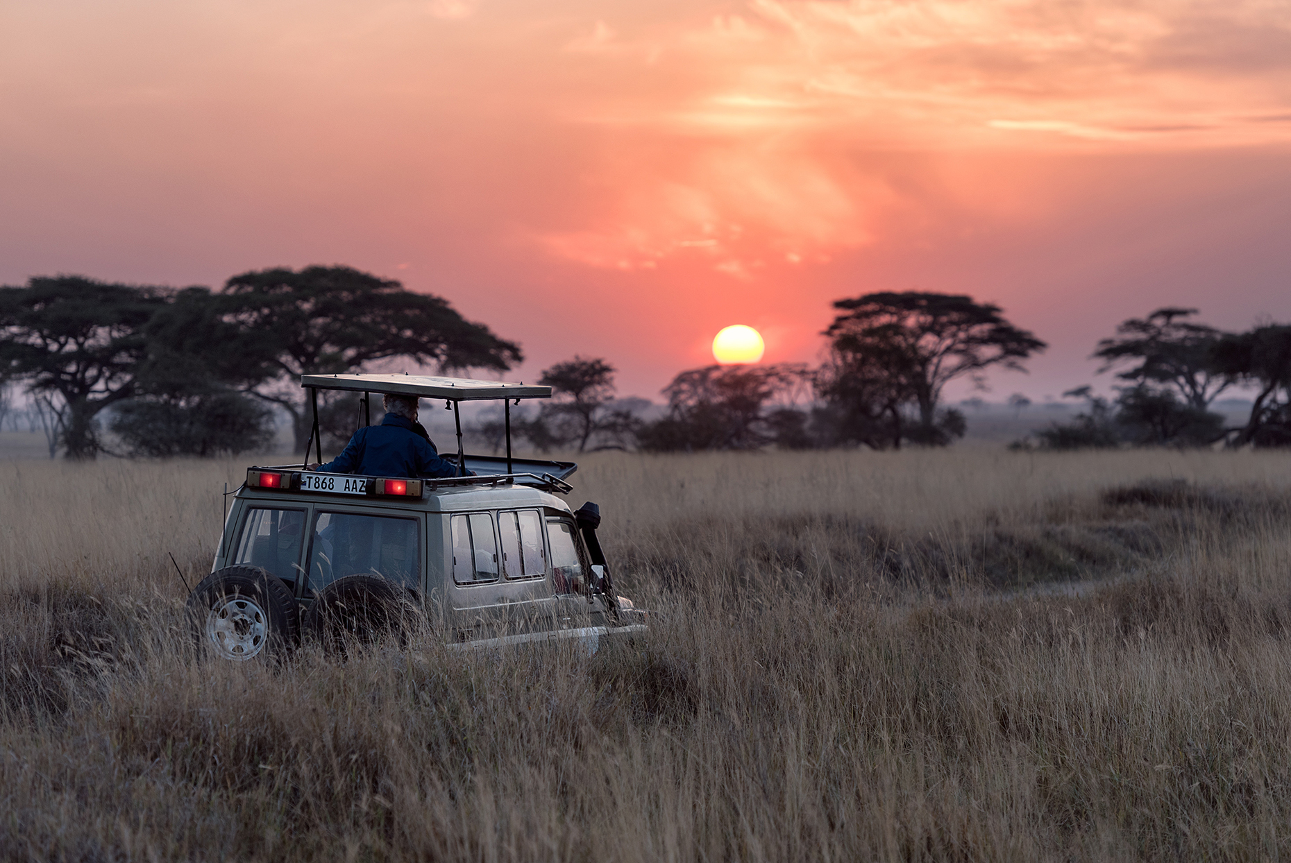 self-drive safari