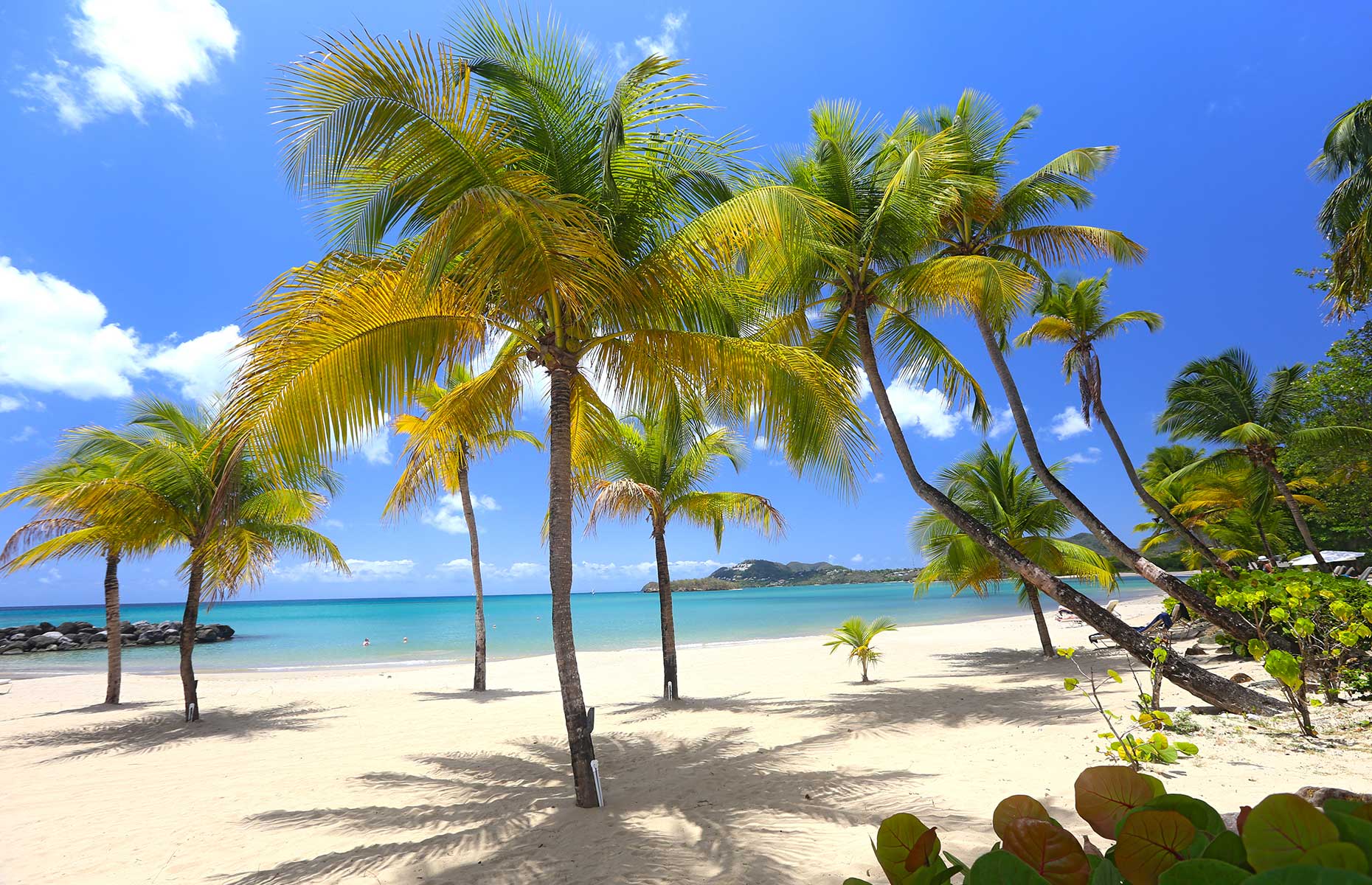 Image of a beach on Saint Lucia with umbrellas and vanilla-coloured sands (Image: Courtesy of the Saint Lucia Tourism Authority)