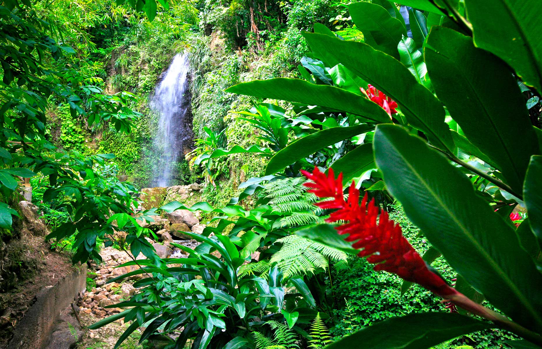 Waterfall and flowers on the island of Saint Lucia in the Caribbean (Image: Courtesy of the Saint Lucia Tourism Authority)