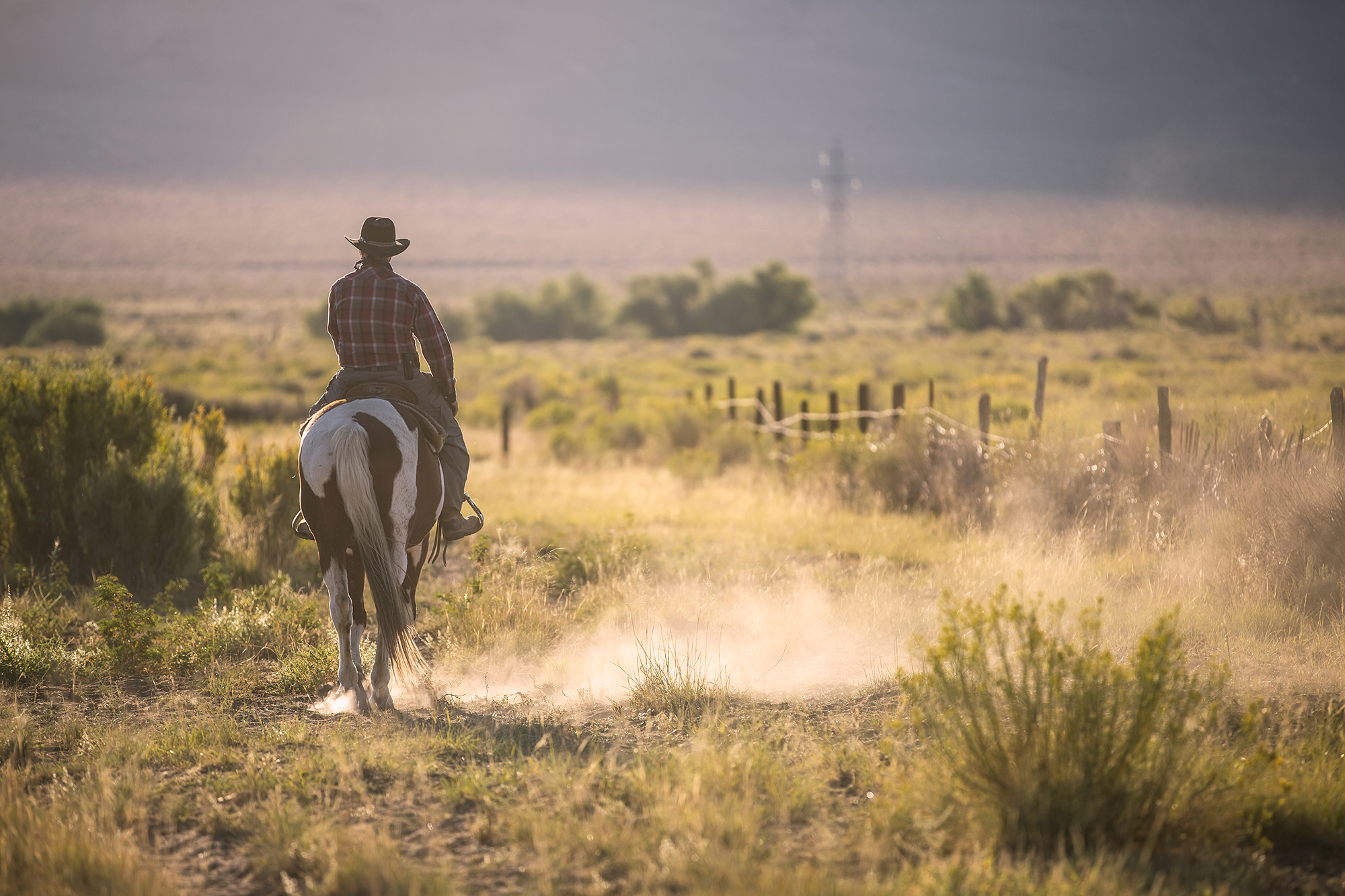 Cowboy in Texas