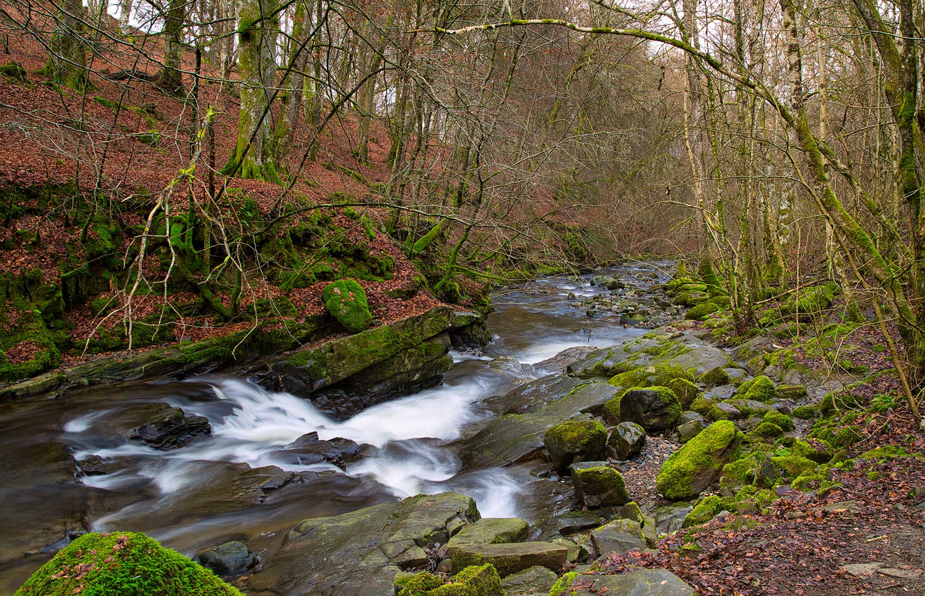 Waterfall in the Birks of Aberfeldy, Scotland (Image: Alex Nicol/Shutterstock)