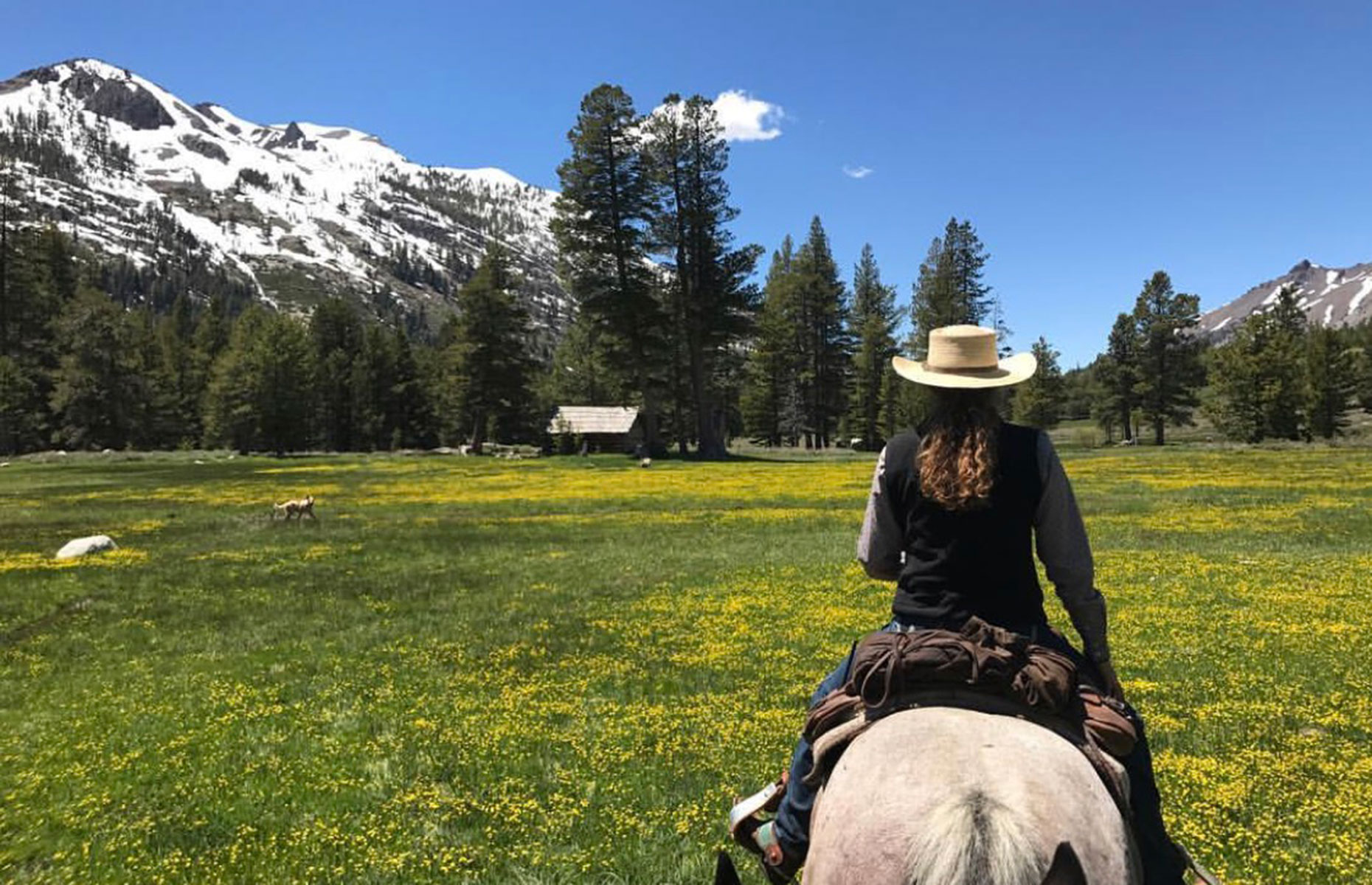 Yosemite Tuolumne Kennedy Meadows