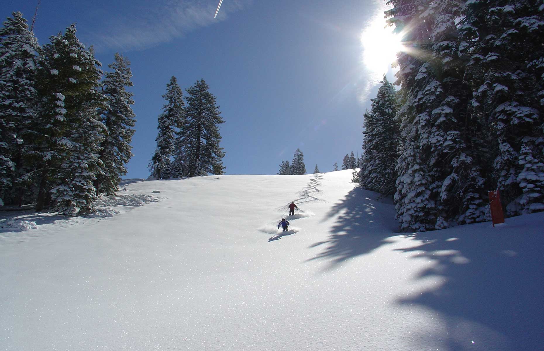 Dodge Ridge Ski Resort (Image: Dodge Ridge Ski Resort)