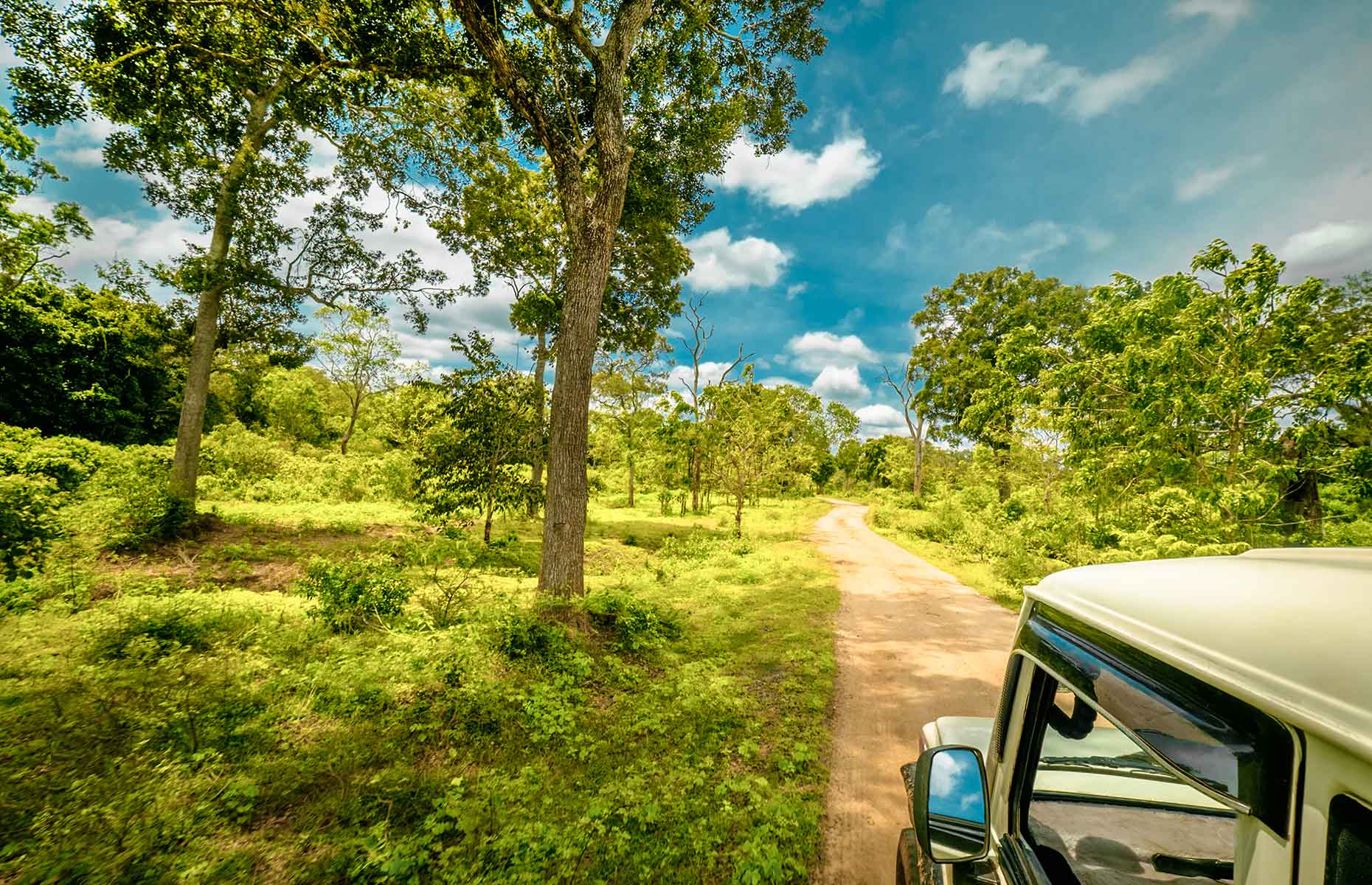 A jeep ride in Yala National Park, Sri Lanka (Image: Perfect Lazybones/Shutterstock)