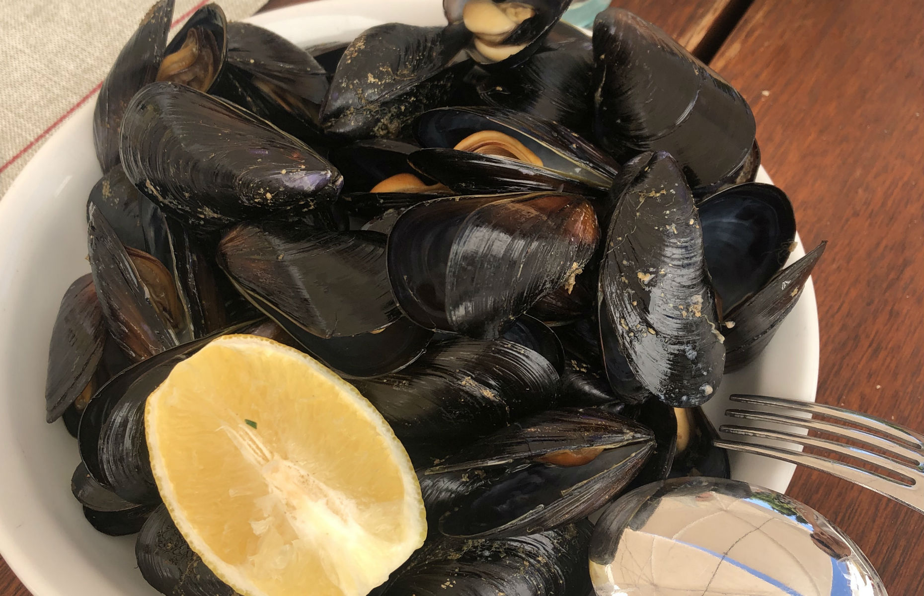 mussels