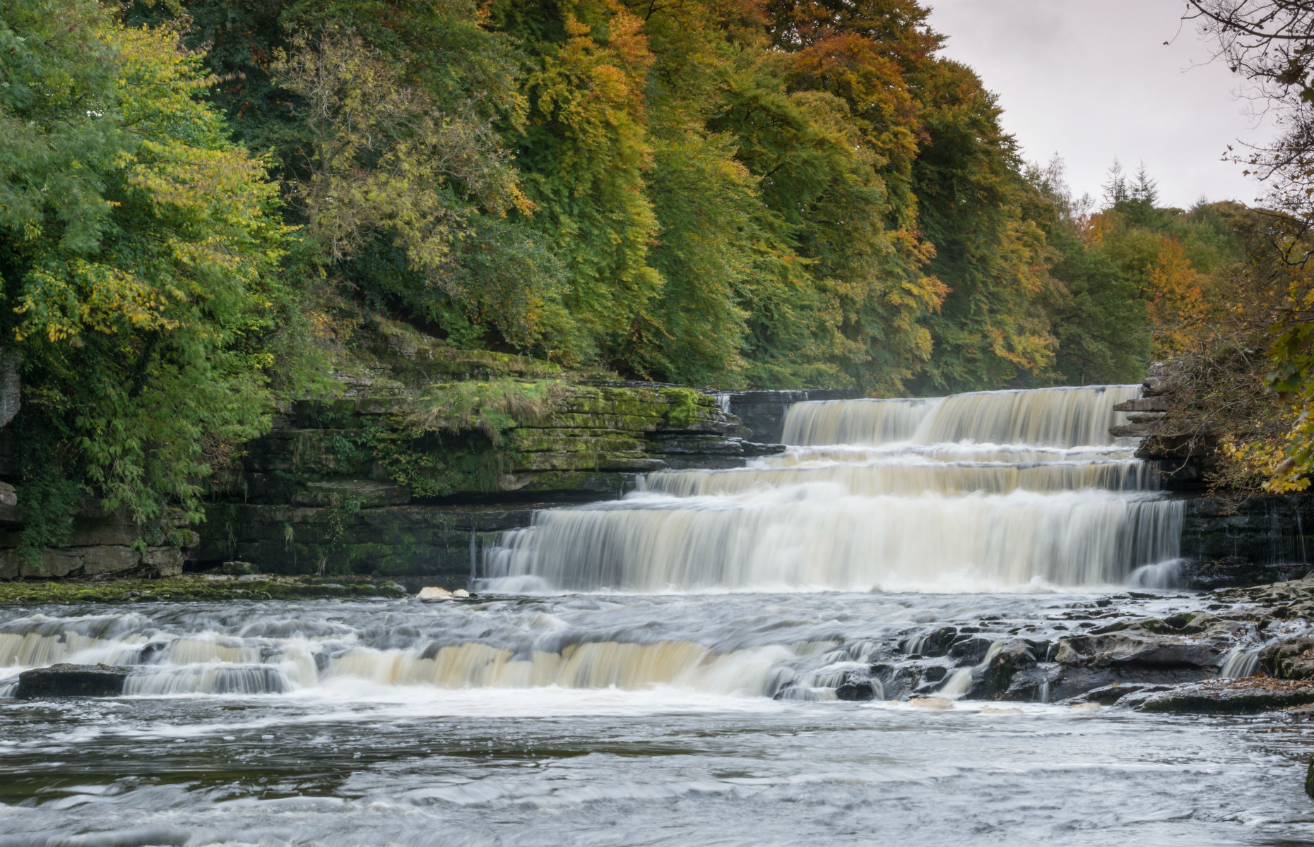 Aysgarth Falls (Image: Andrew Fletcher/Shutterstock)