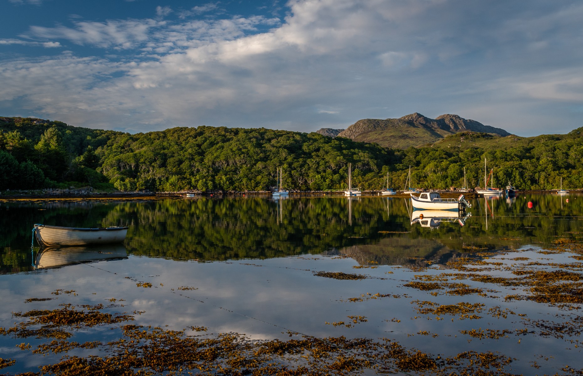 Wester Ross (Image: Dave A Bennett/Shutterstock)