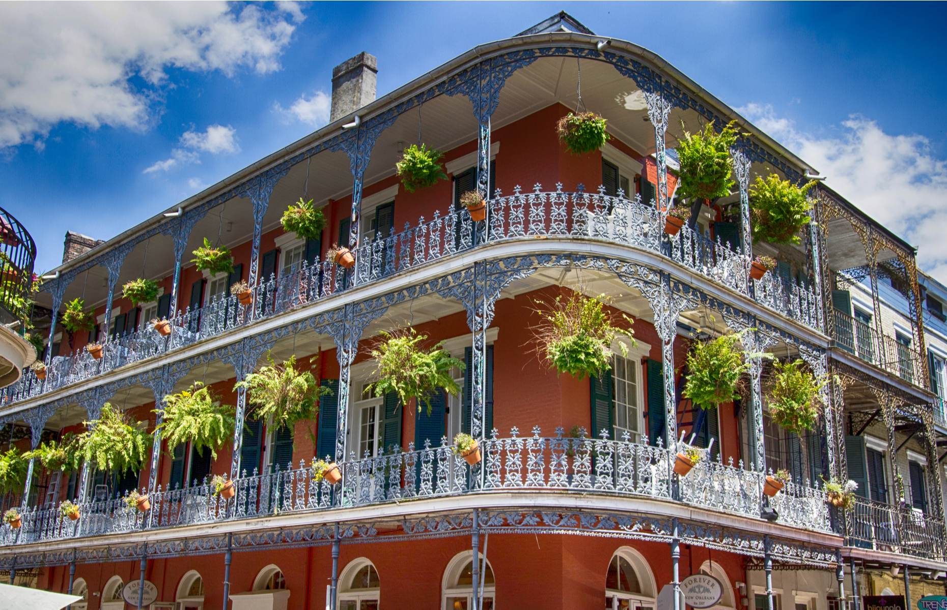 French Quarter in New Orleans (image: Steve Robinson/Shutterstock)