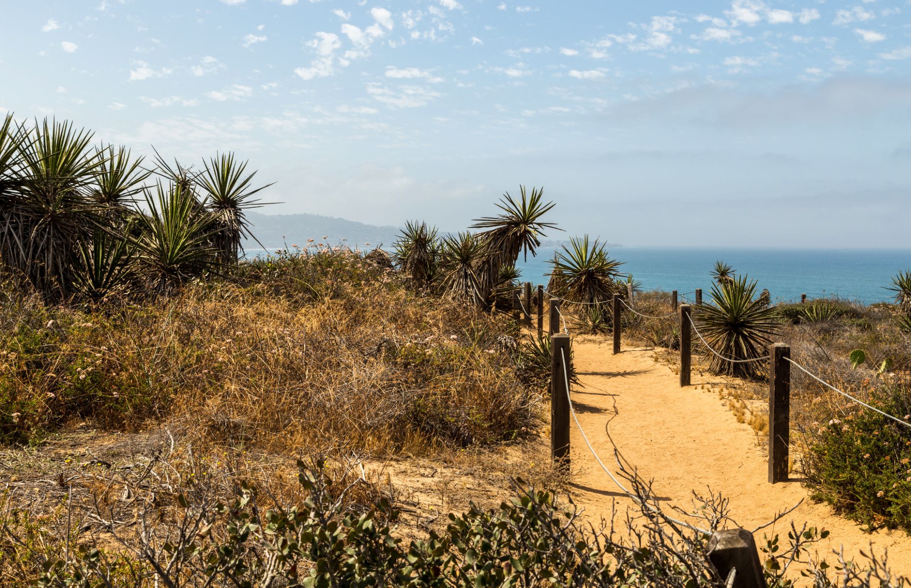 Torrey Pines State Natural Reserve (Image: ZAB Photographie/Shutterstock)