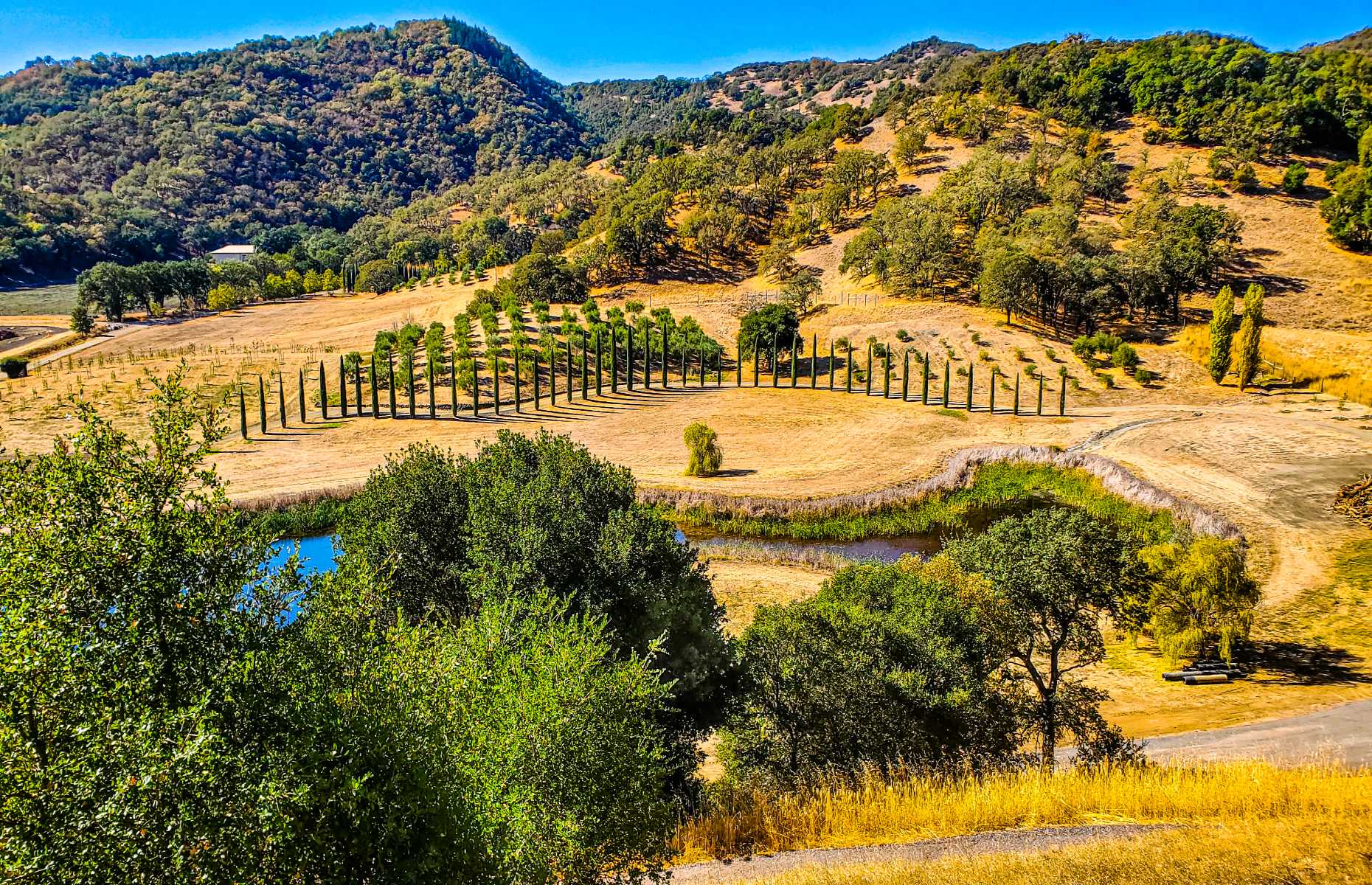 Mendocino wine country (Image: Maquita H/Shutterstock)