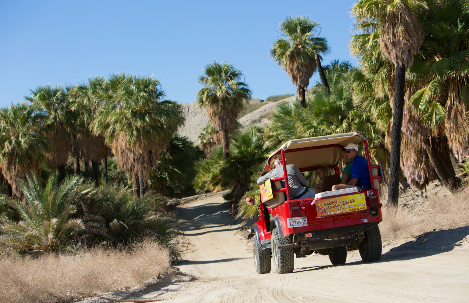 Desert adventures