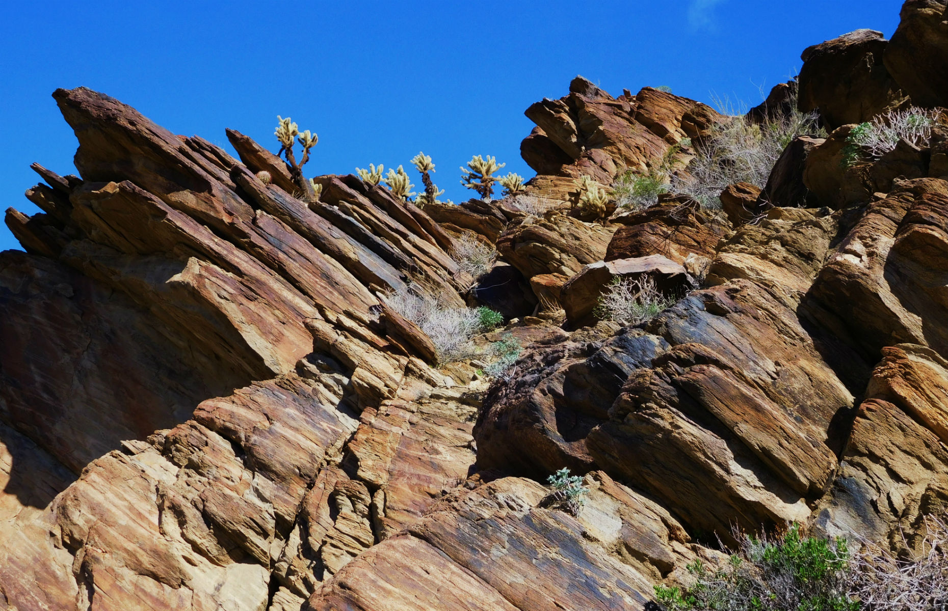 Indian canyons jeep tour