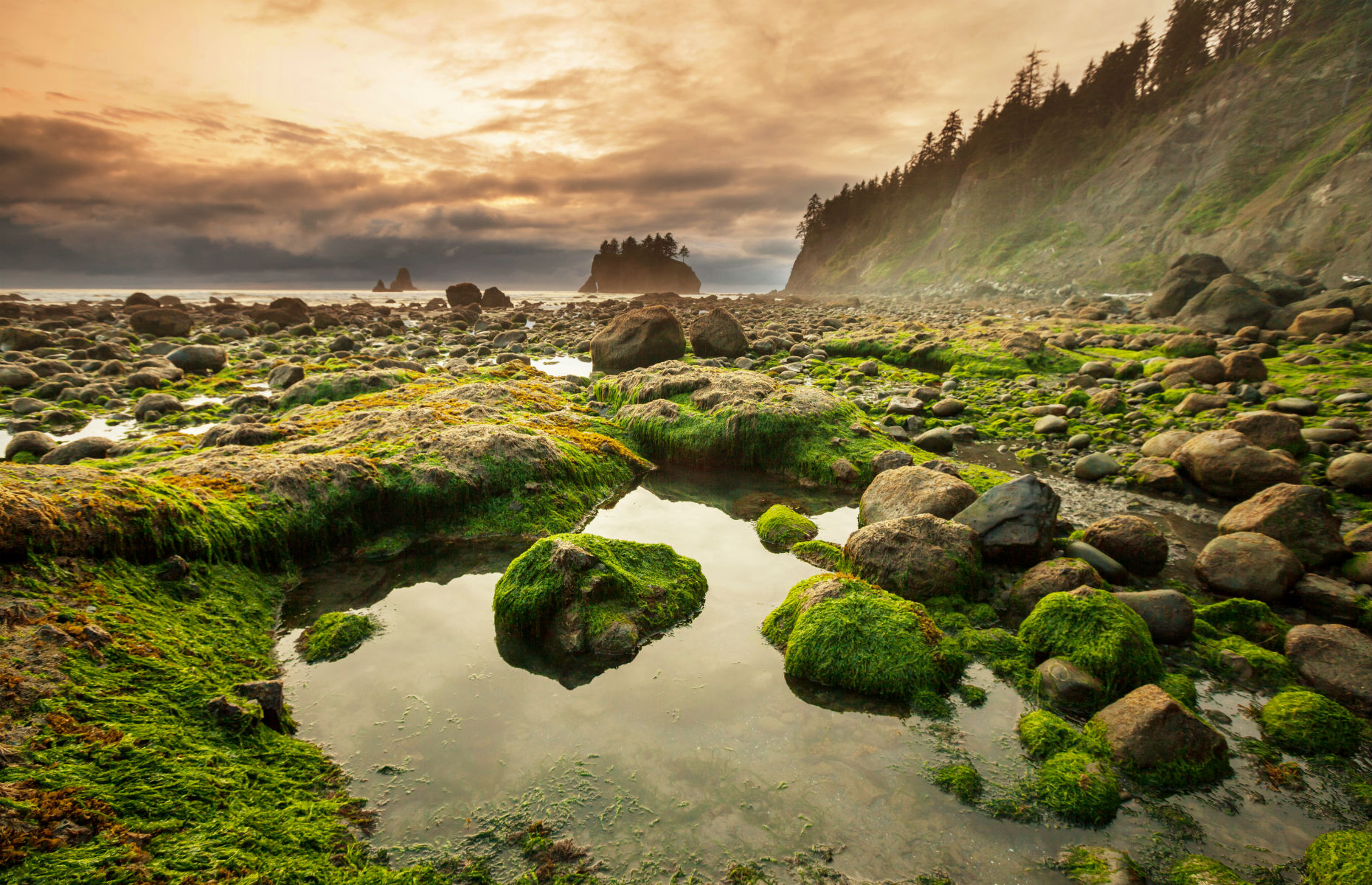 olympic national park