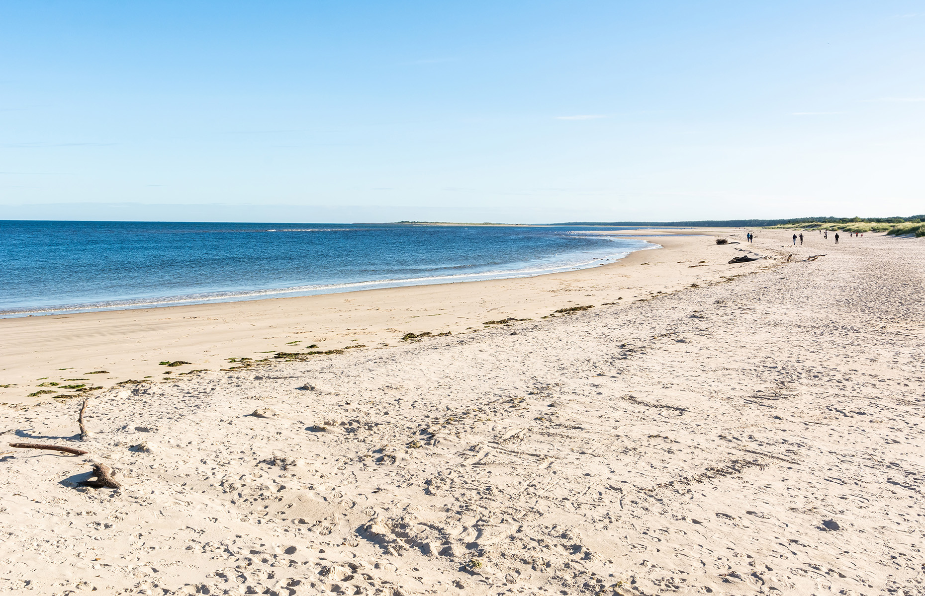 Nairn Beach (Image: Alizada Studios/Shutterstock)