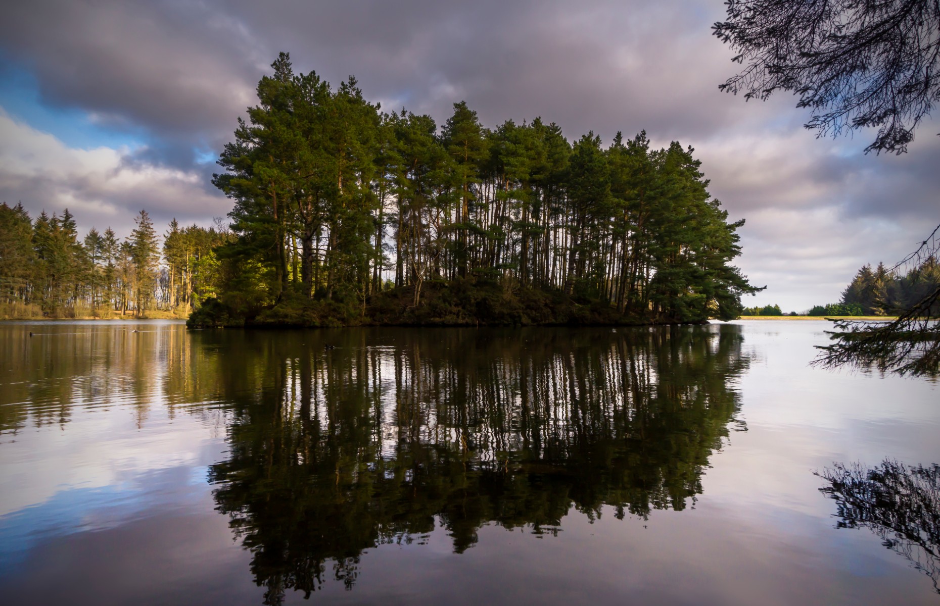 Beescraig Loch (Image: Dougie Milne Photography/Shutterstock)