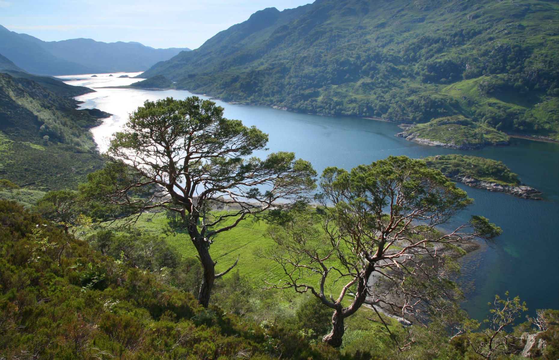 Knoydart scenery (Image: N Mrtgh/Shutterstock)