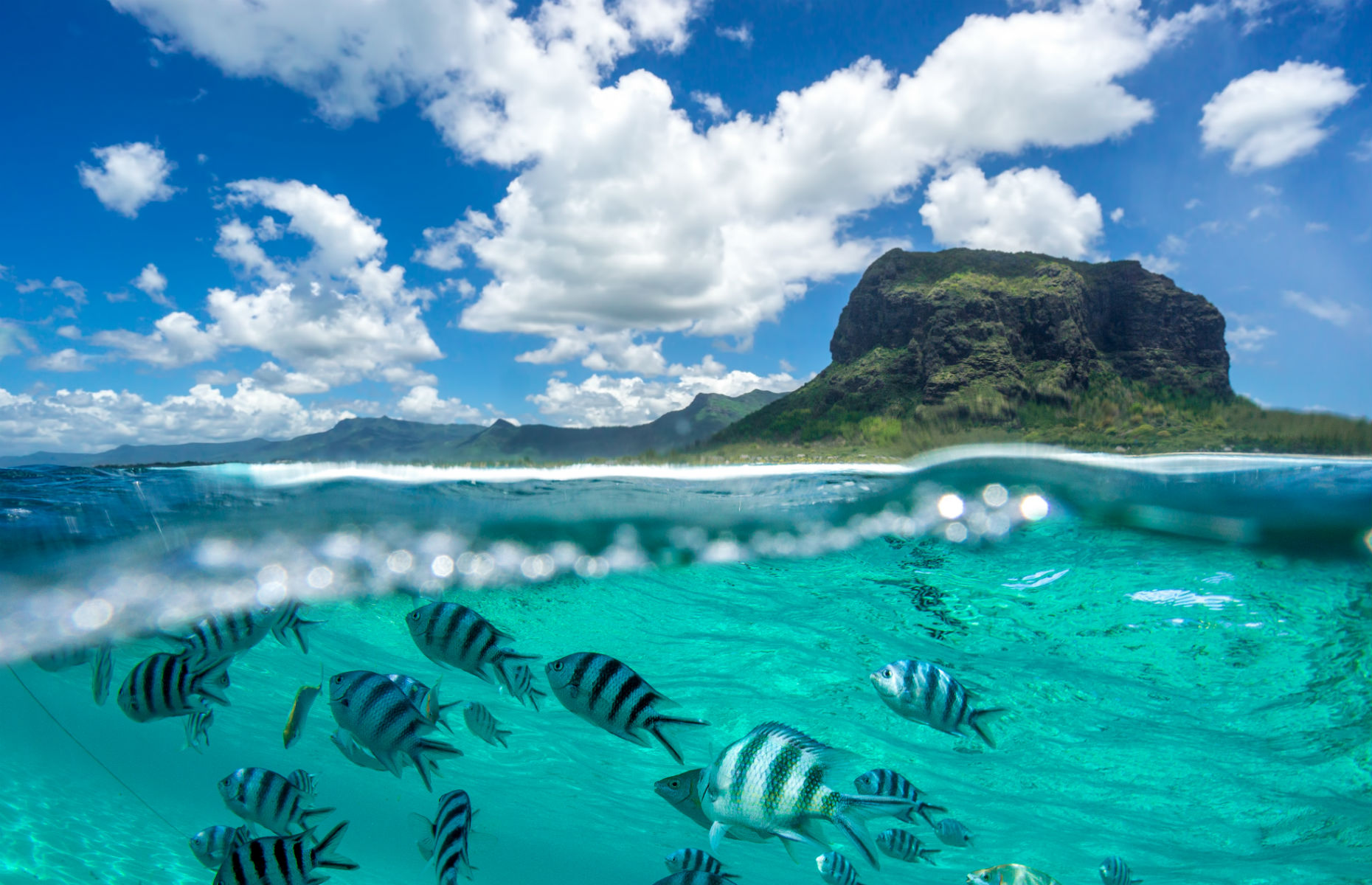 underwater shot