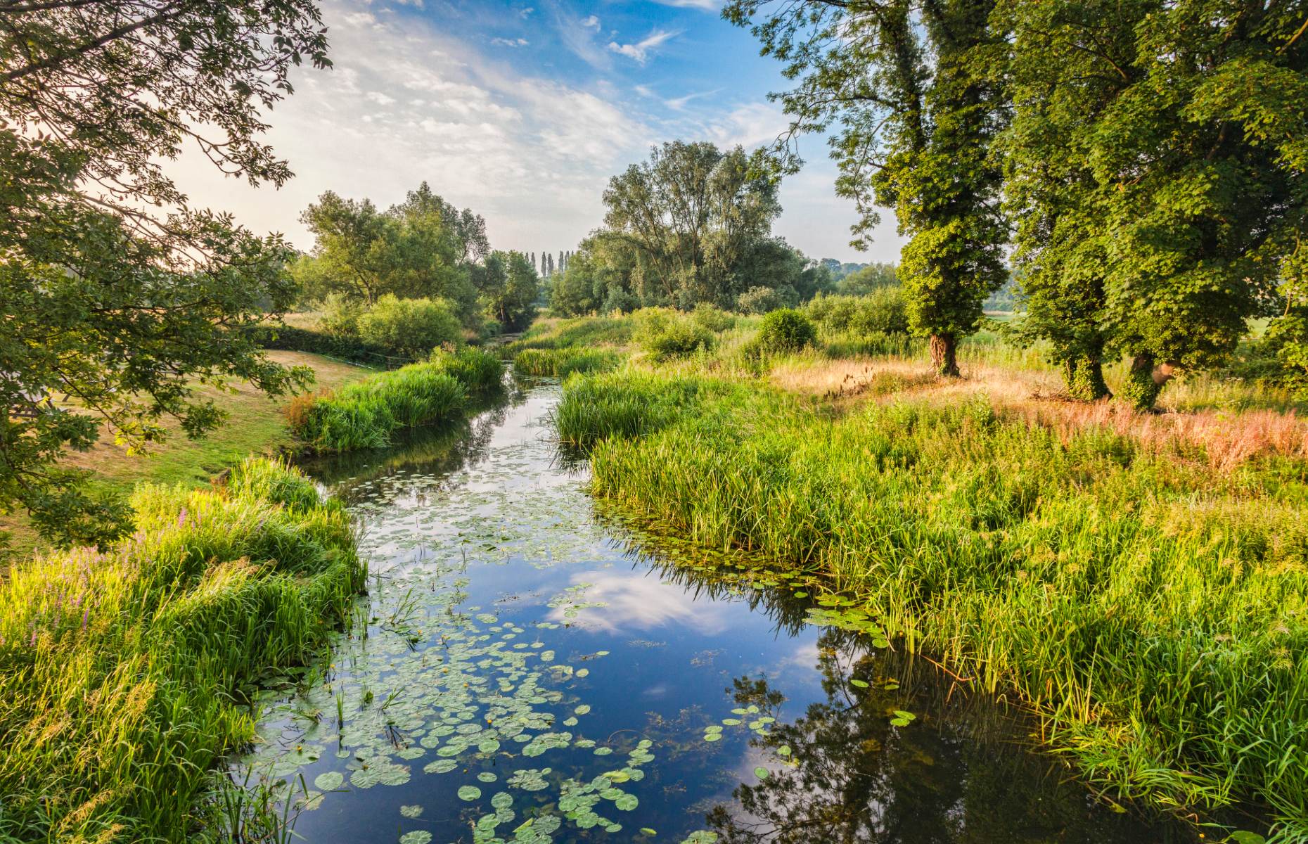 River Stour (Image: travellight/Shutterstock)