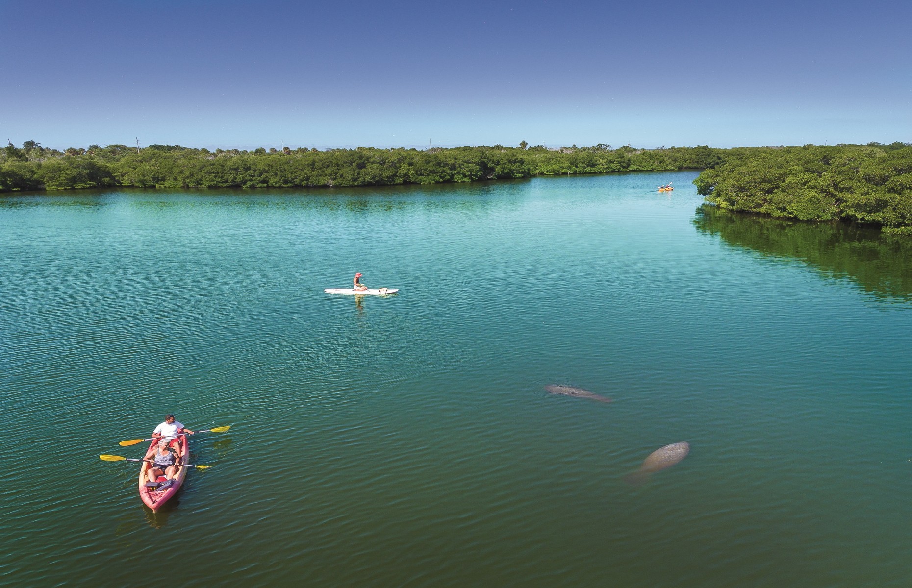 Kayaking at Shell Key Preserve in clear kayaks (Image: Courtesy of VisitStPeteClearwater.com)