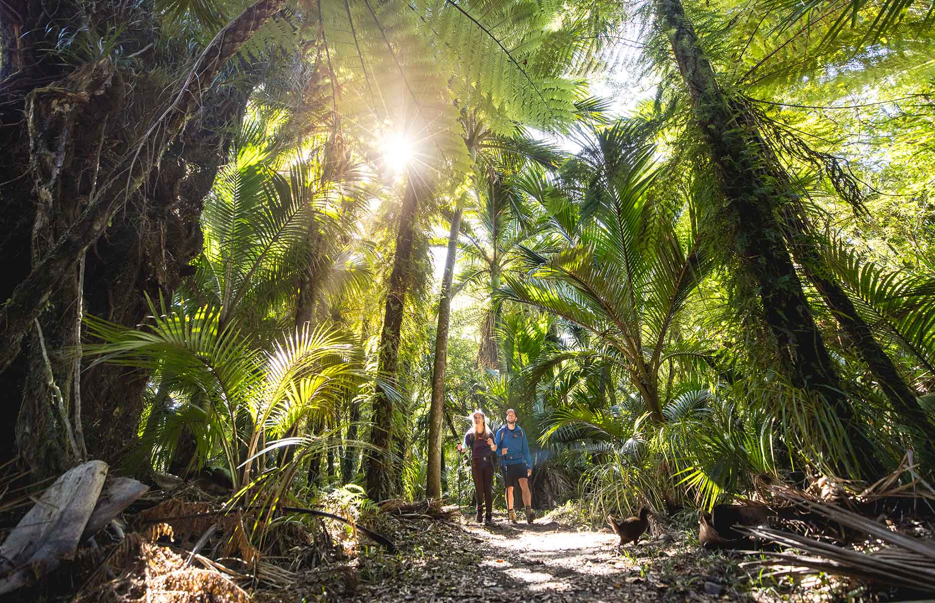 Heaphy Track, South Island, New Zealand (Image credit: Tourism New Zealand)