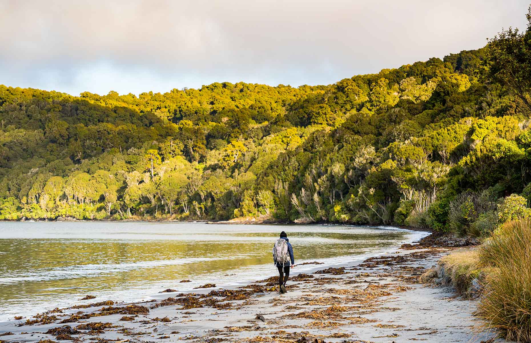 Rakiura Track, Stewart Island aka Rakiura, South Island, New Zealand (Image credit: Tourism New Zealand)