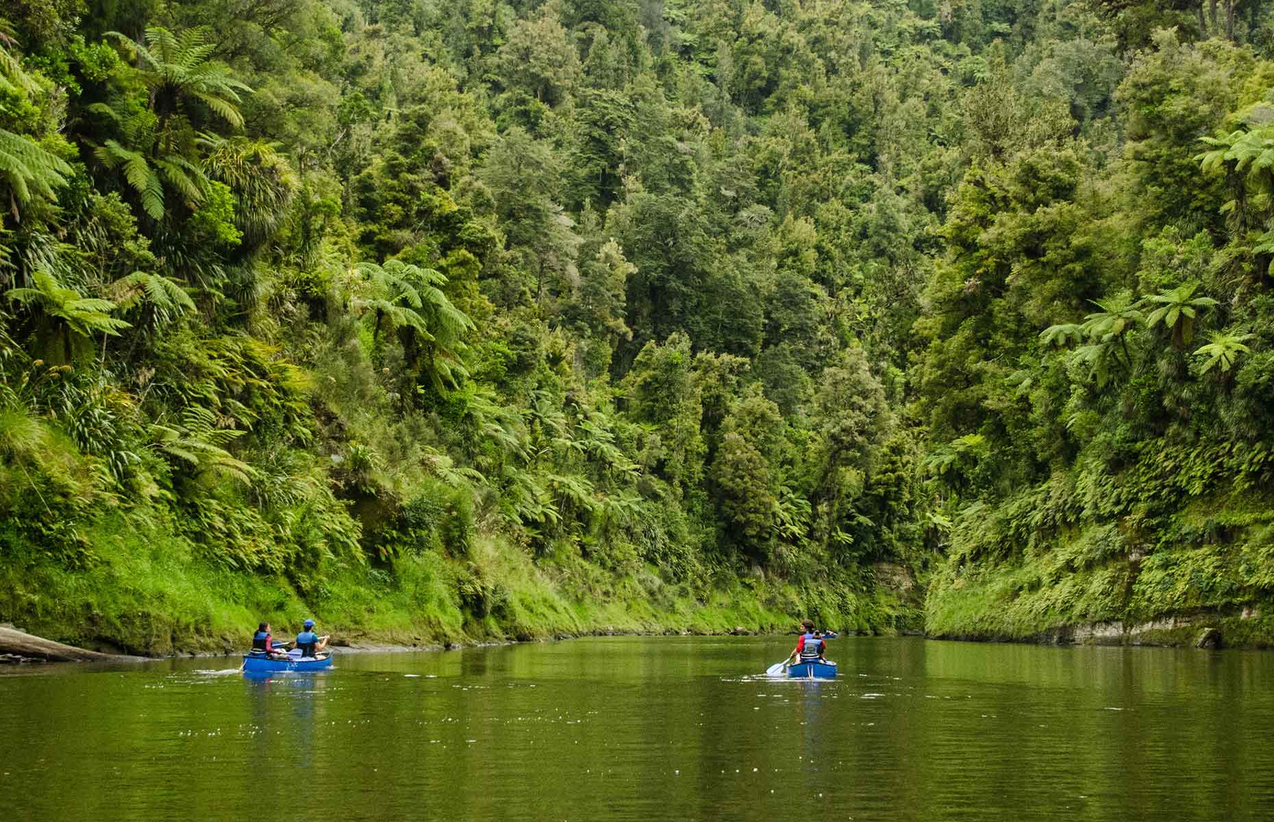 Whanganui Journey, Whanganui, New Zealand (Image credits: Tourism New Zealand)