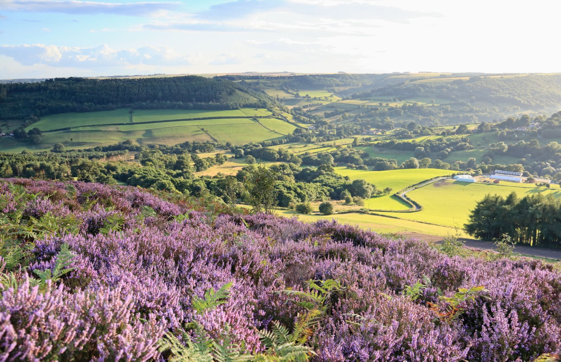 North York Moors countryside (Image: Bewickswan/Shutterstock)