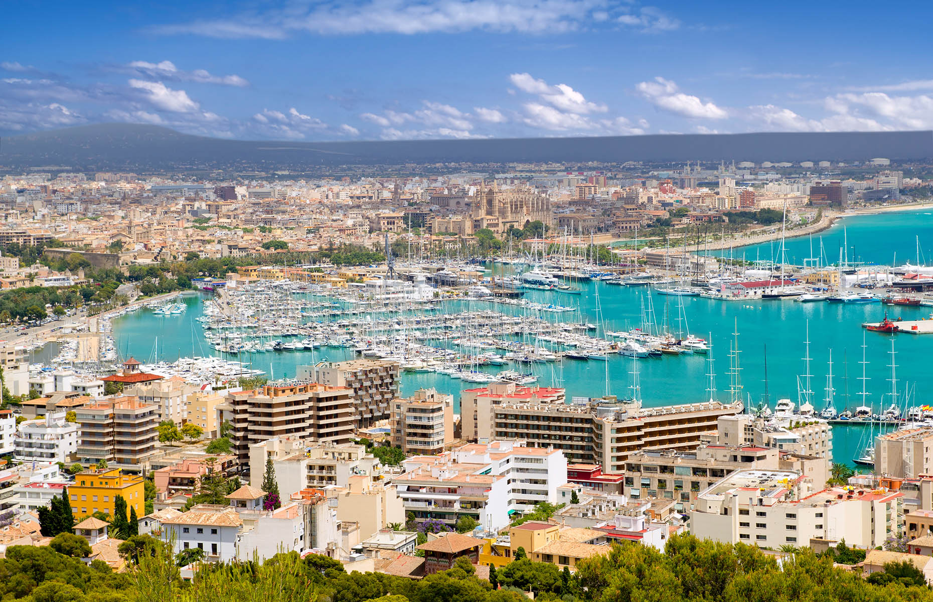 Aerial view of Mallorca in the Balearic Islands (Image: lunamarina/Shutterstock)