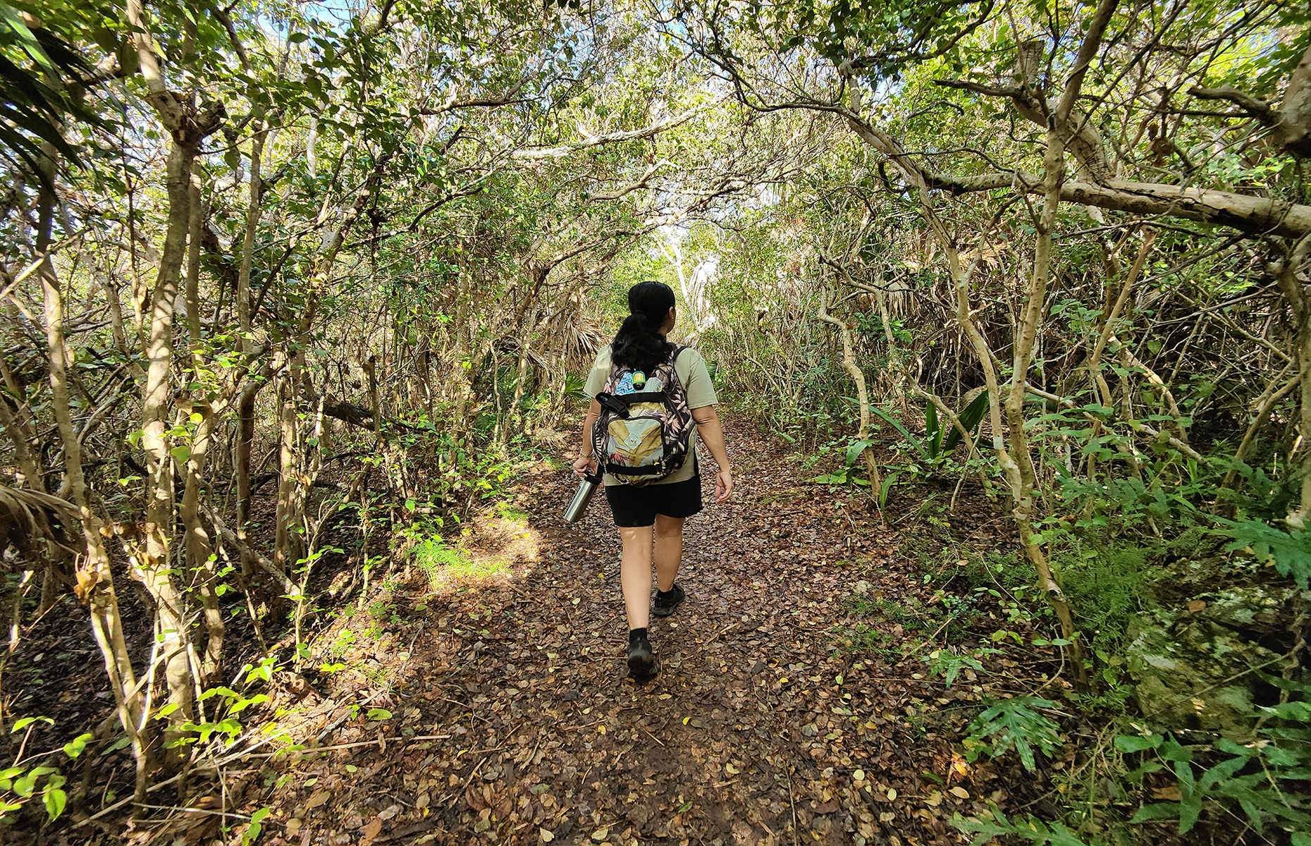 Tom Moore's Jungle, Bermuda. (Image: James Draven)