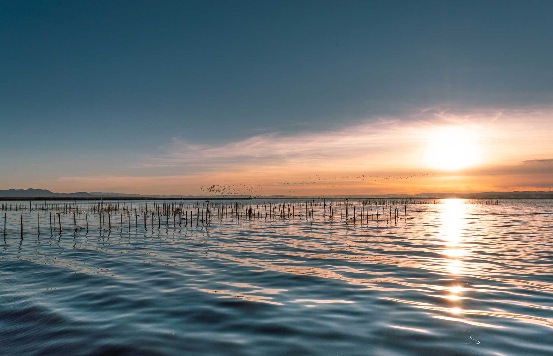 Albufera Nature Reserve in Valencia, Spain (Image: Connie Nicolau/Shutterstock)