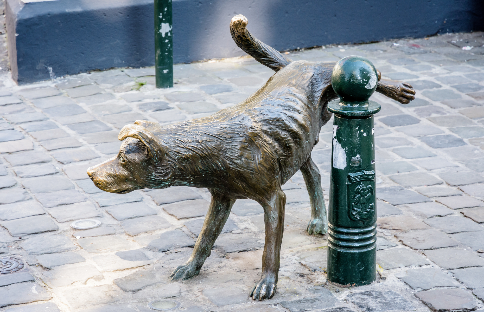 things to do in Brussels manneken pis zinneke pis