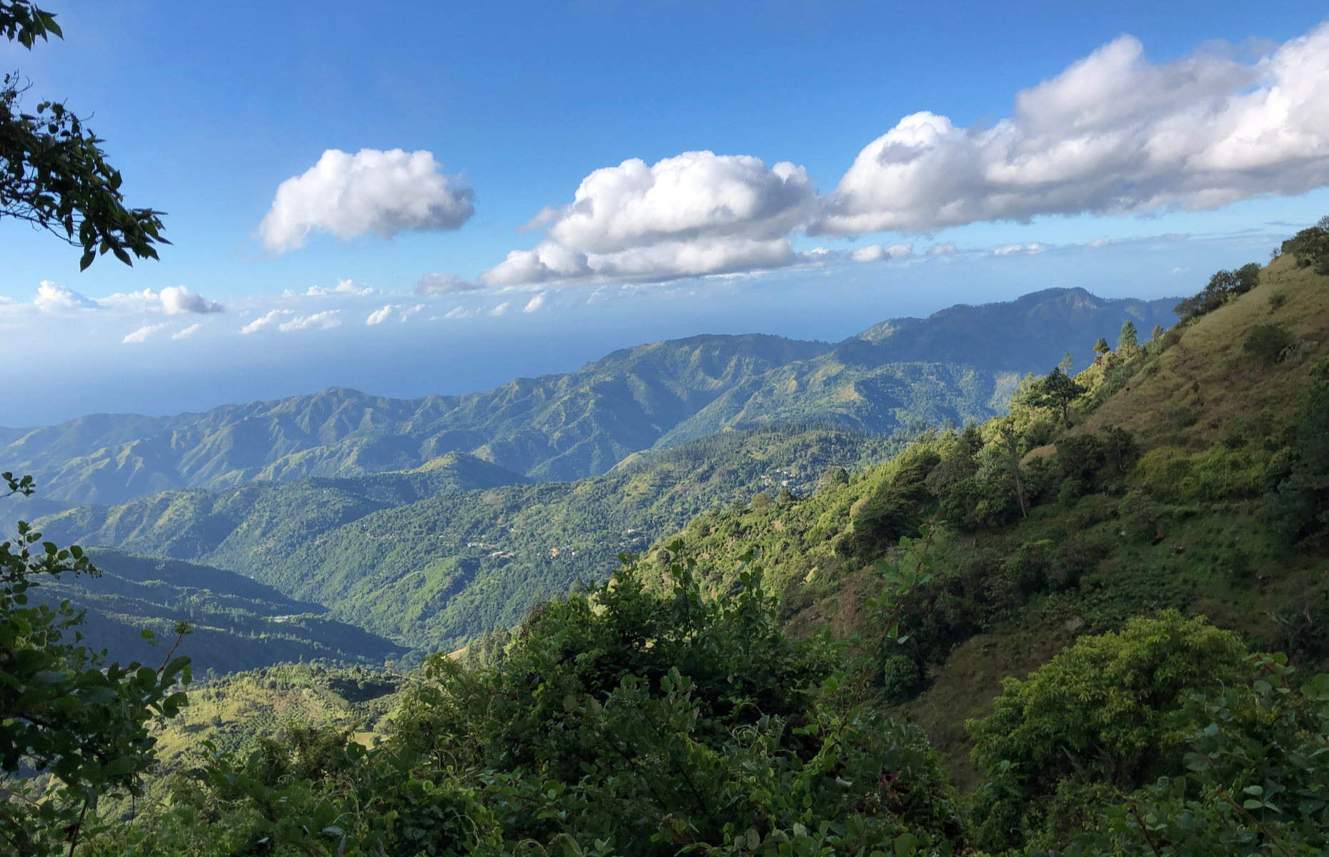 blue mountains